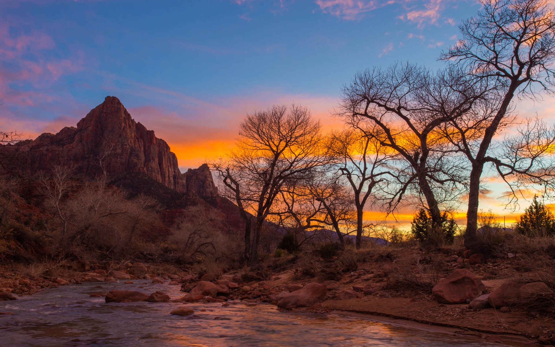 earth, zion national park, mountain, nature, sky, sunset, tree, usa, water, national park