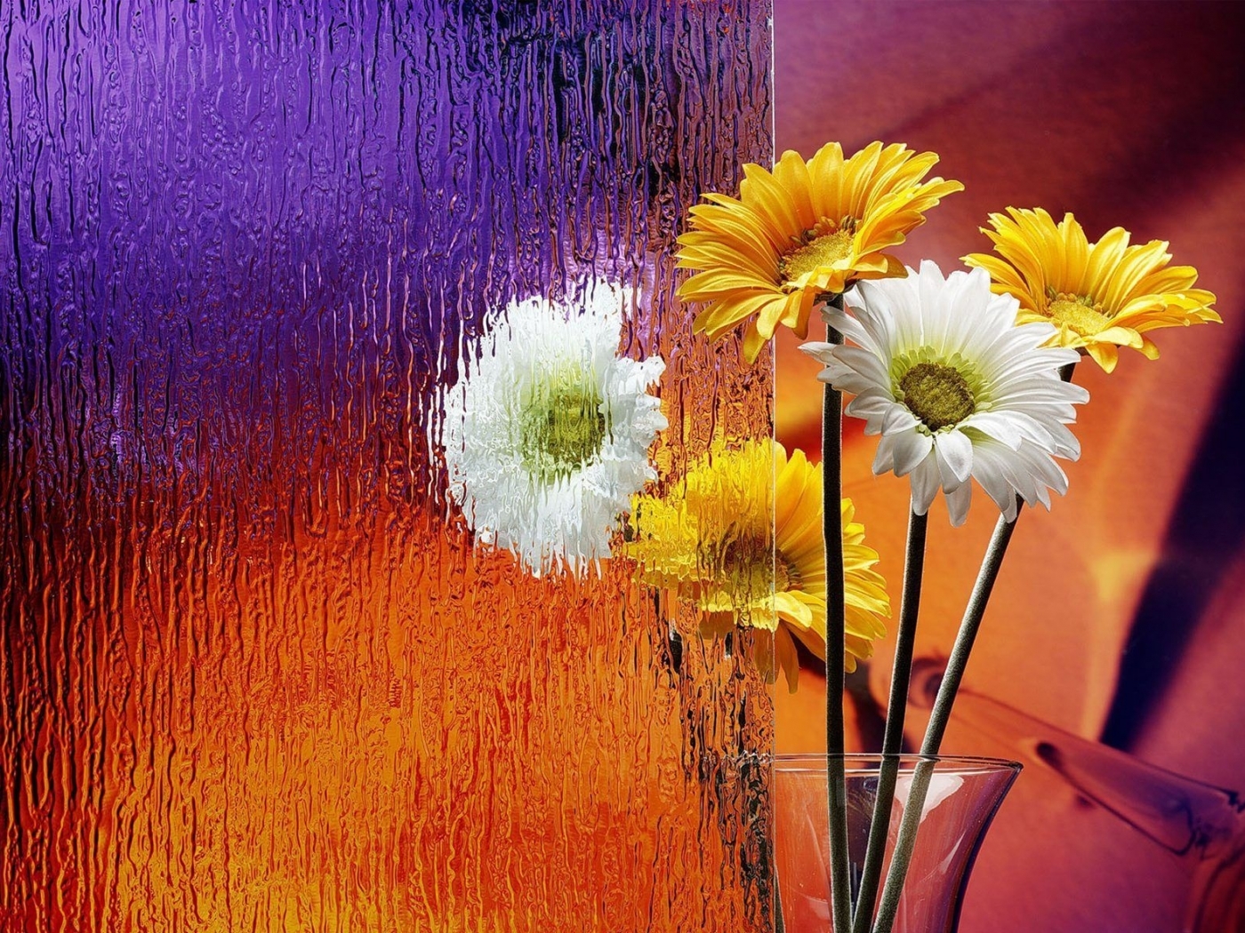 46119 baixar papel de parede plantas, flores - protetores de tela e imagens gratuitamente
