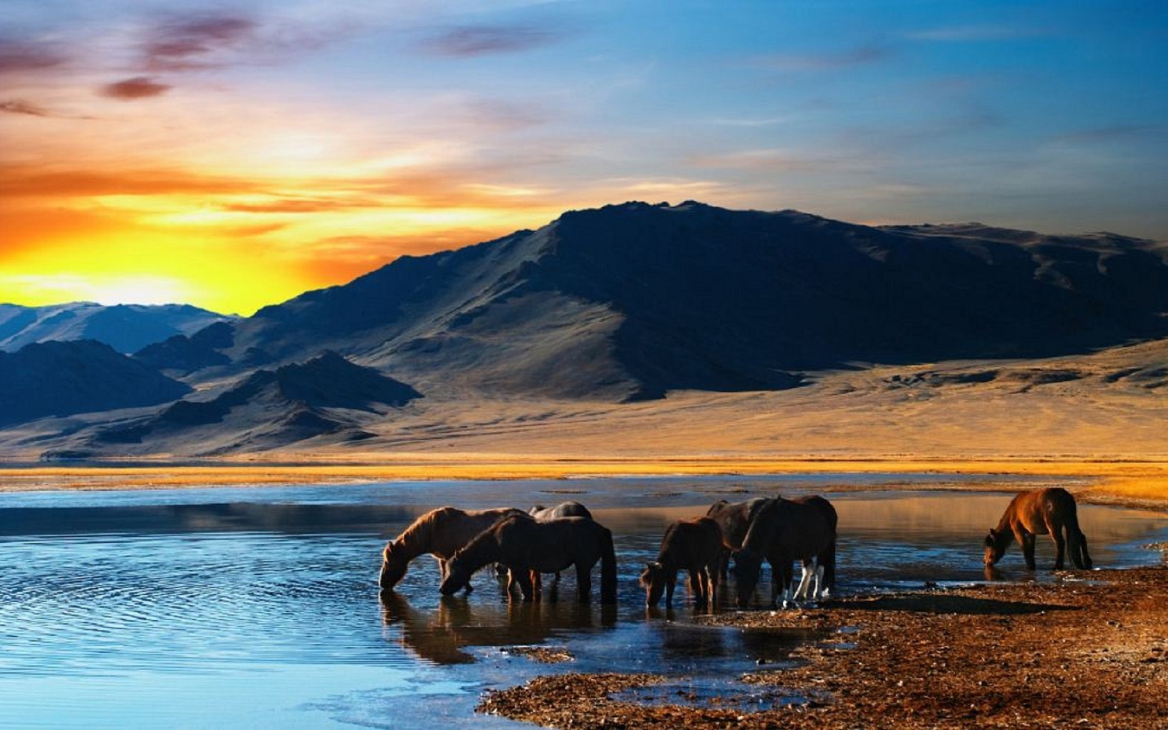 Free download wallpaper Animals, Nature, Landscape, Mountains, Horses on your PC desktop