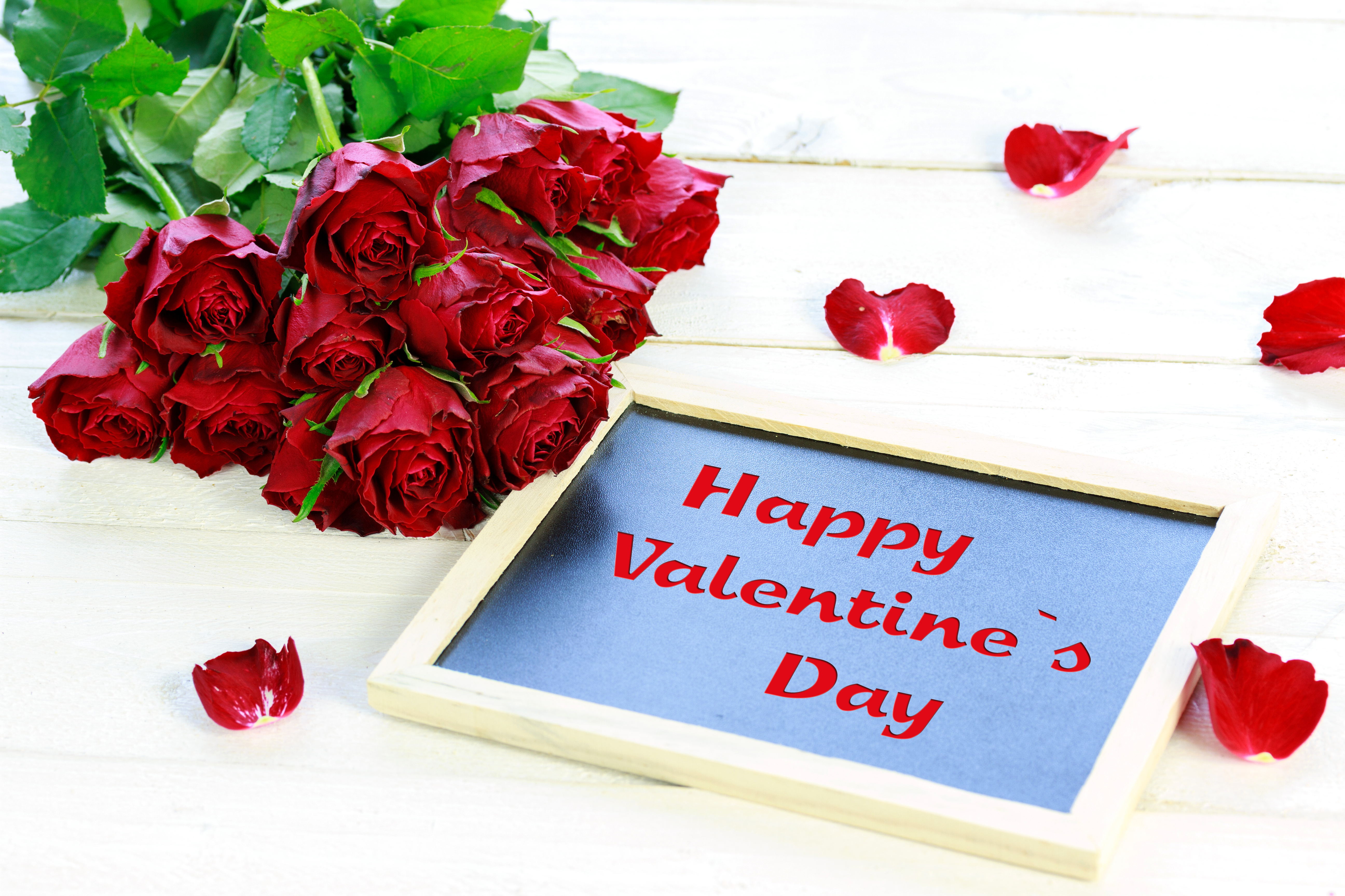 valentine's day, red flower, happy valentine's day, holiday, flower, red rose, rose HD wallpaper