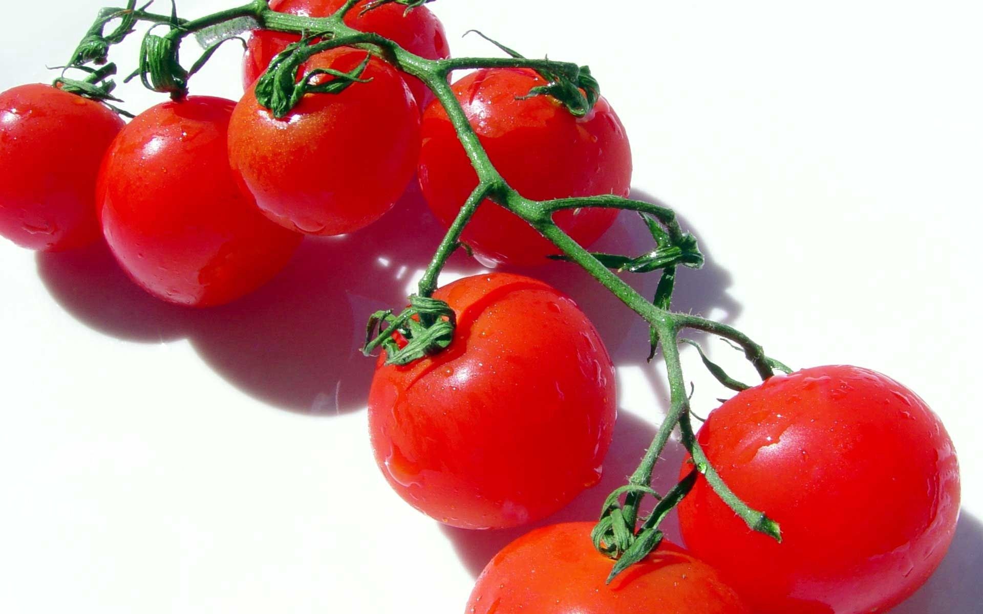 90361 baixar papel de parede um tomate, comida, galho, ramo, tomate, vegetal, legume - protetores de tela e imagens gratuitamente