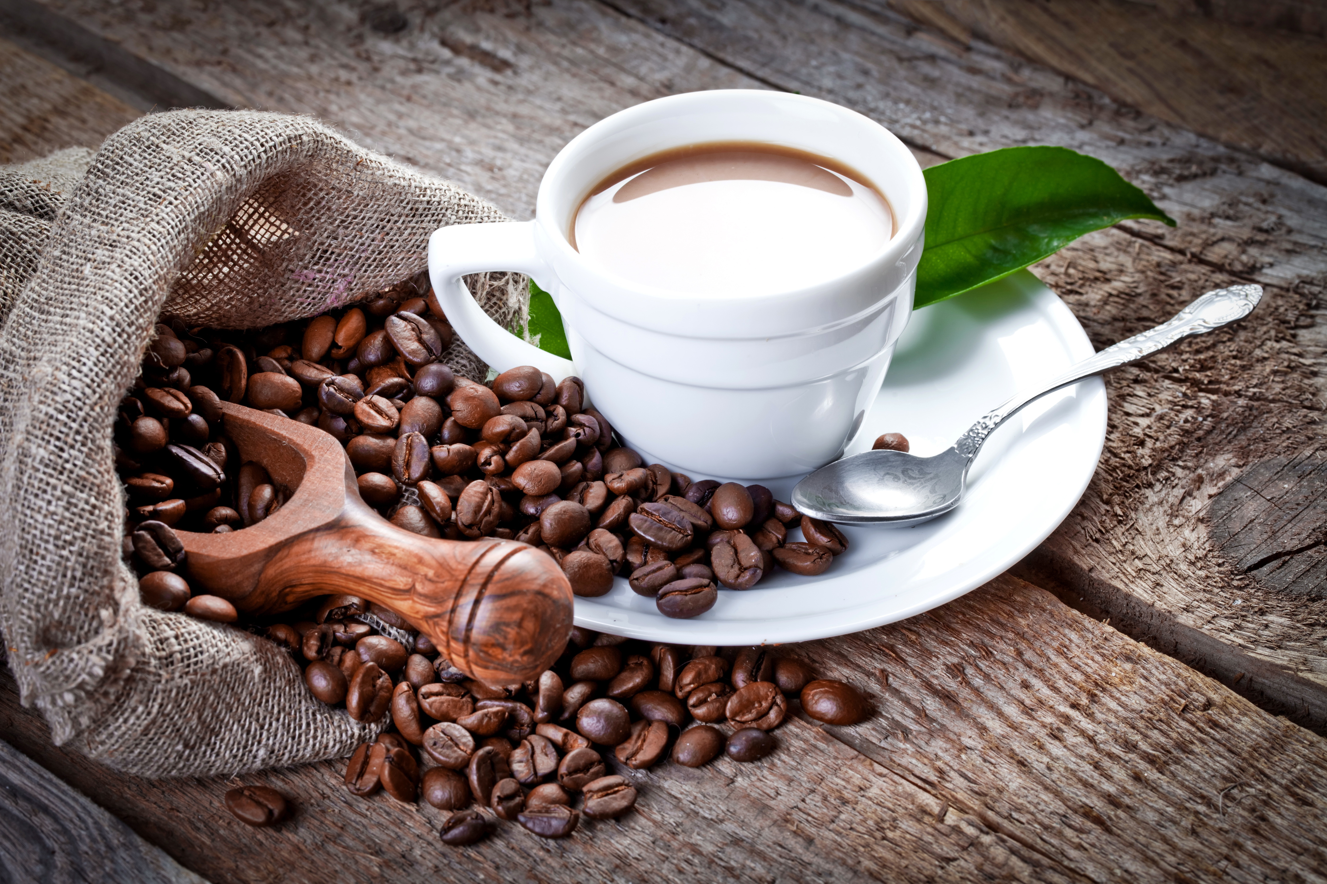 Фото с кофе. Чашка кофе. "На чашечку кофе…?!". Чашка ароматного кофе. Чашка кофе с зернами.