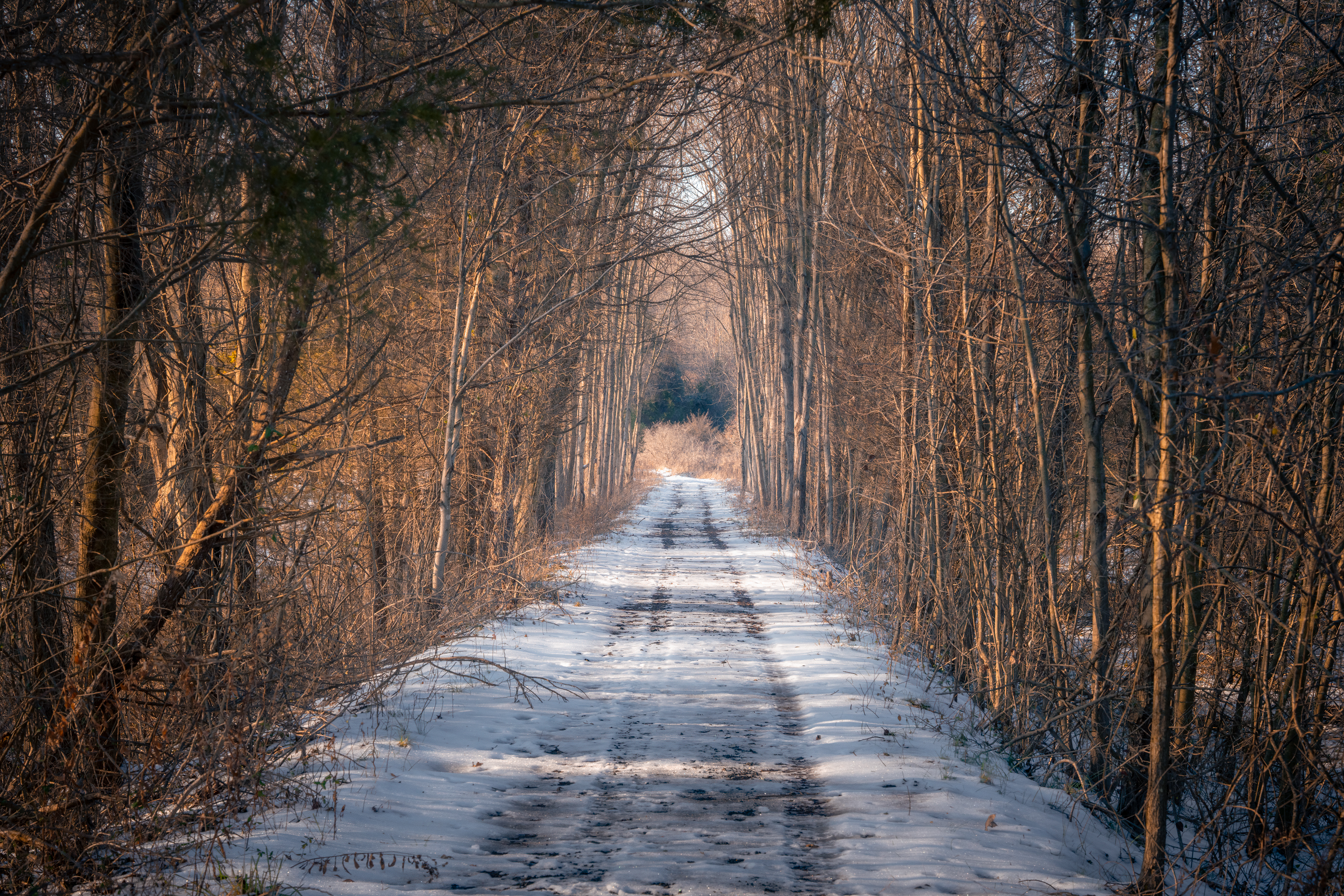 Free download wallpaper Forest, Winter, Trees, Snow, Nature, Road on your PC desktop