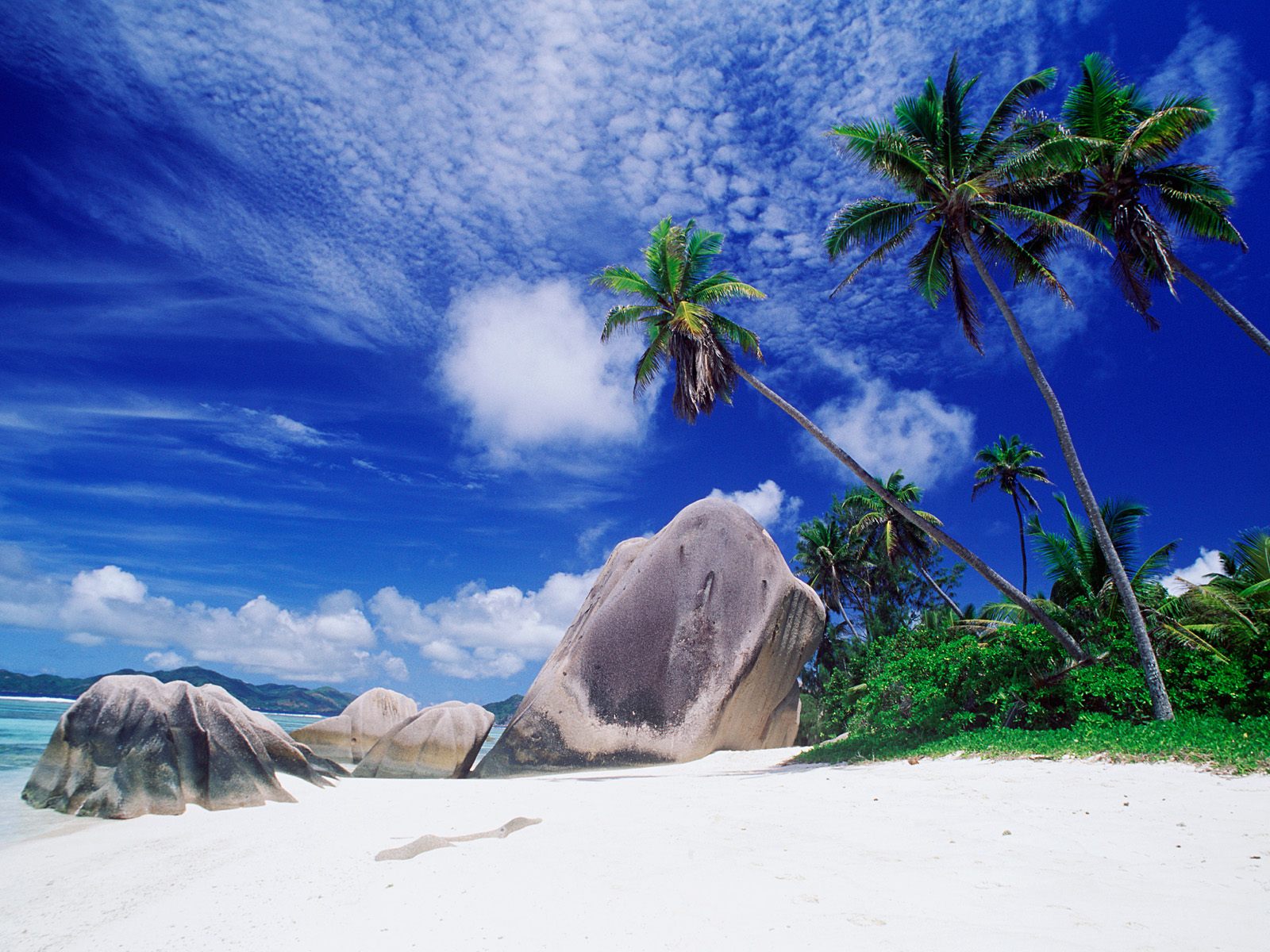 1076702 Hintergrundbild herunterladen erde/natur, strand, ozean, palme, himmel - Bildschirmschoner und Bilder kostenlos