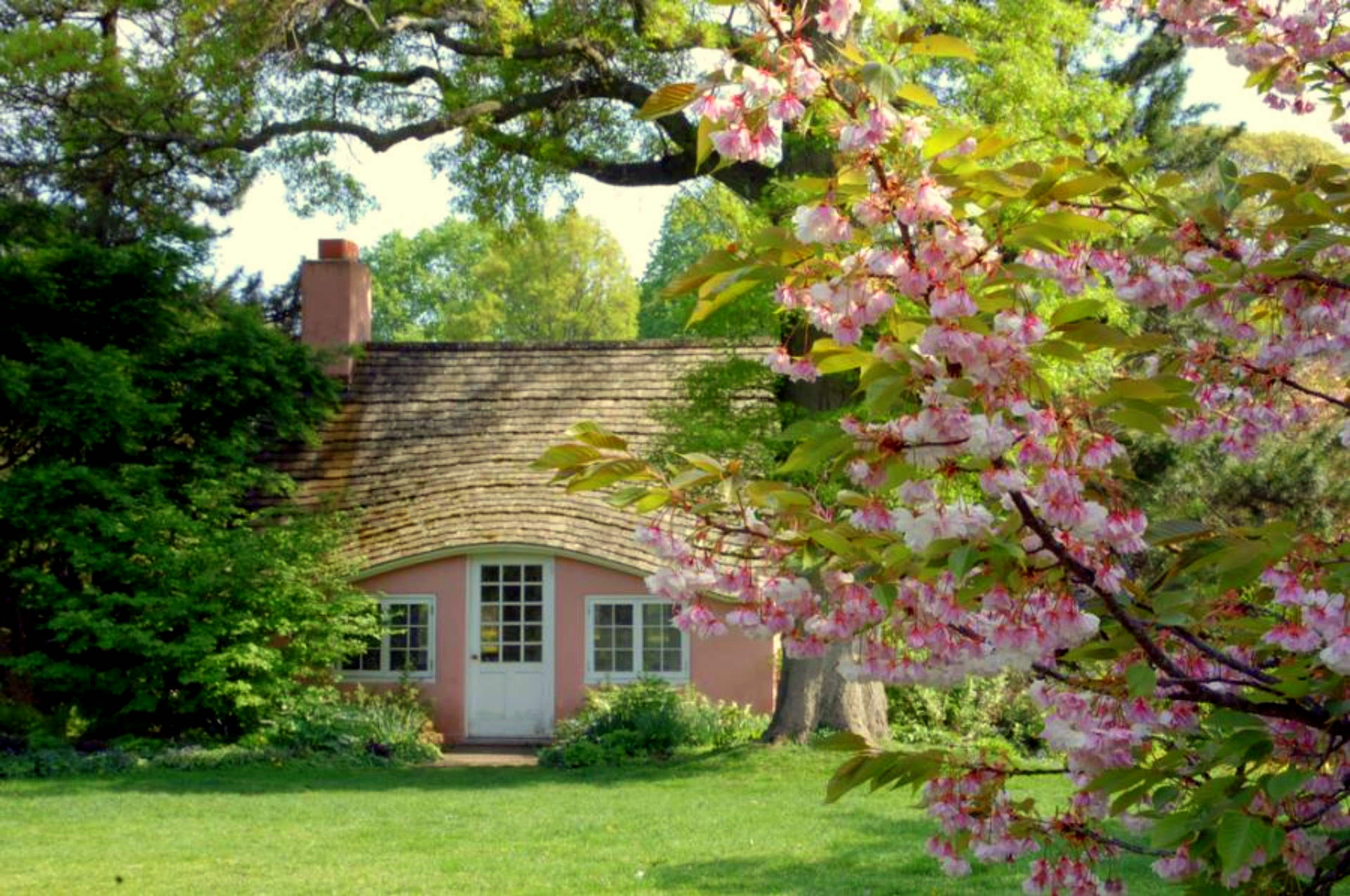 cottage, man made, house, pink, spring 8K