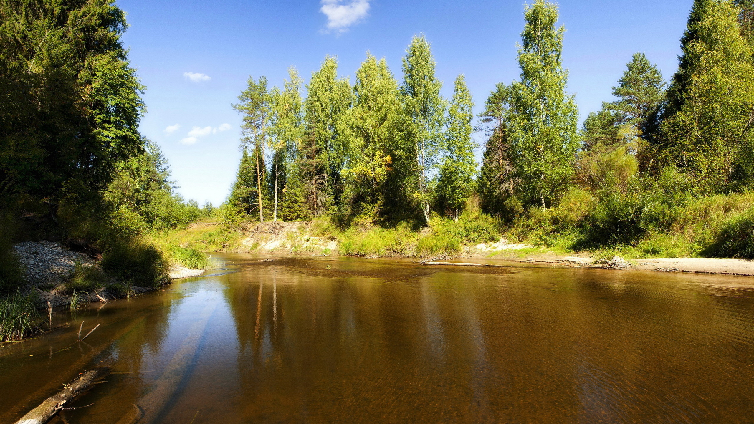 Притоки реки Керженец