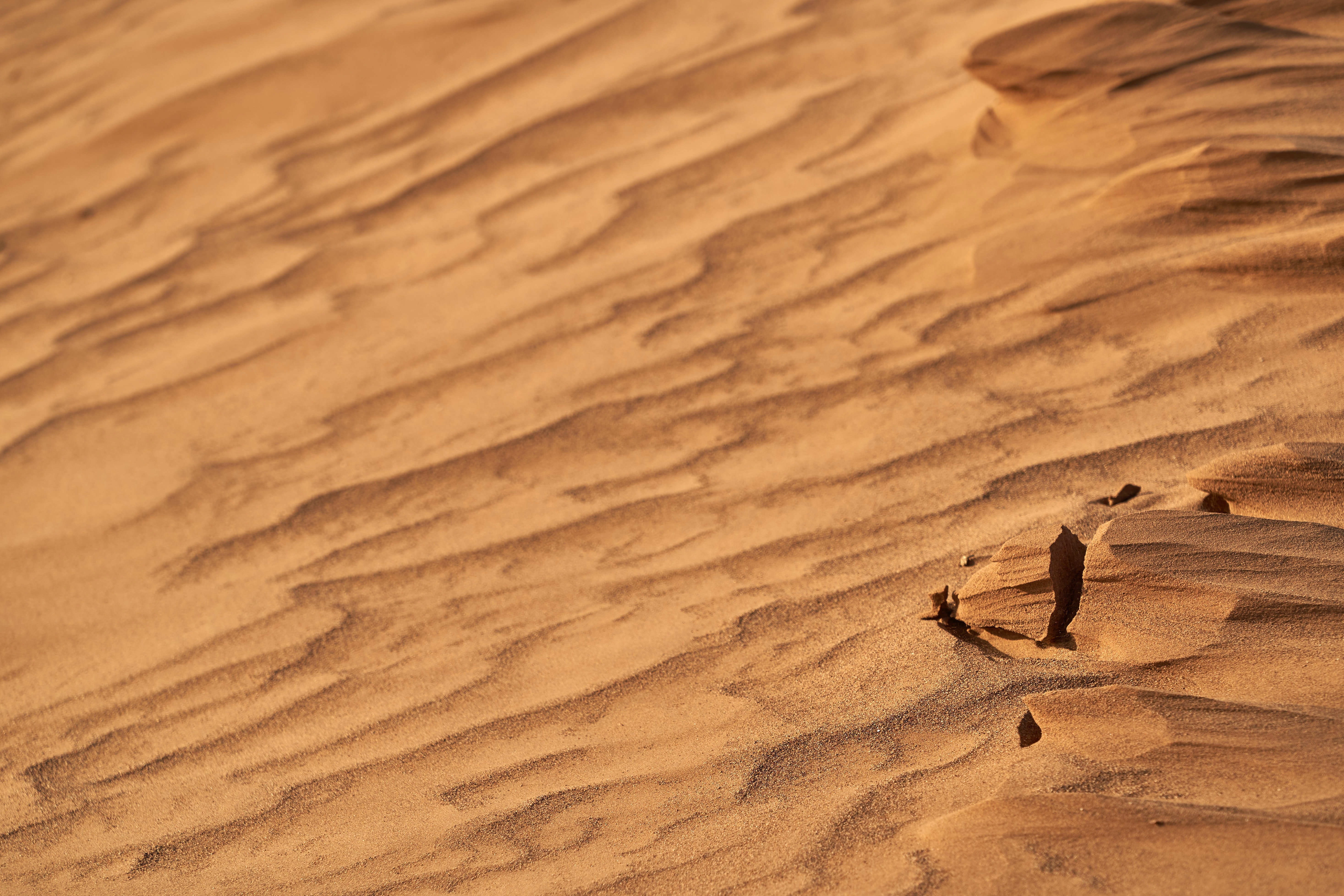 Laden Sie das Sand, Wüste, Trocken, Wellig, Natur-Bild kostenlos auf Ihren PC-Desktop herunter
