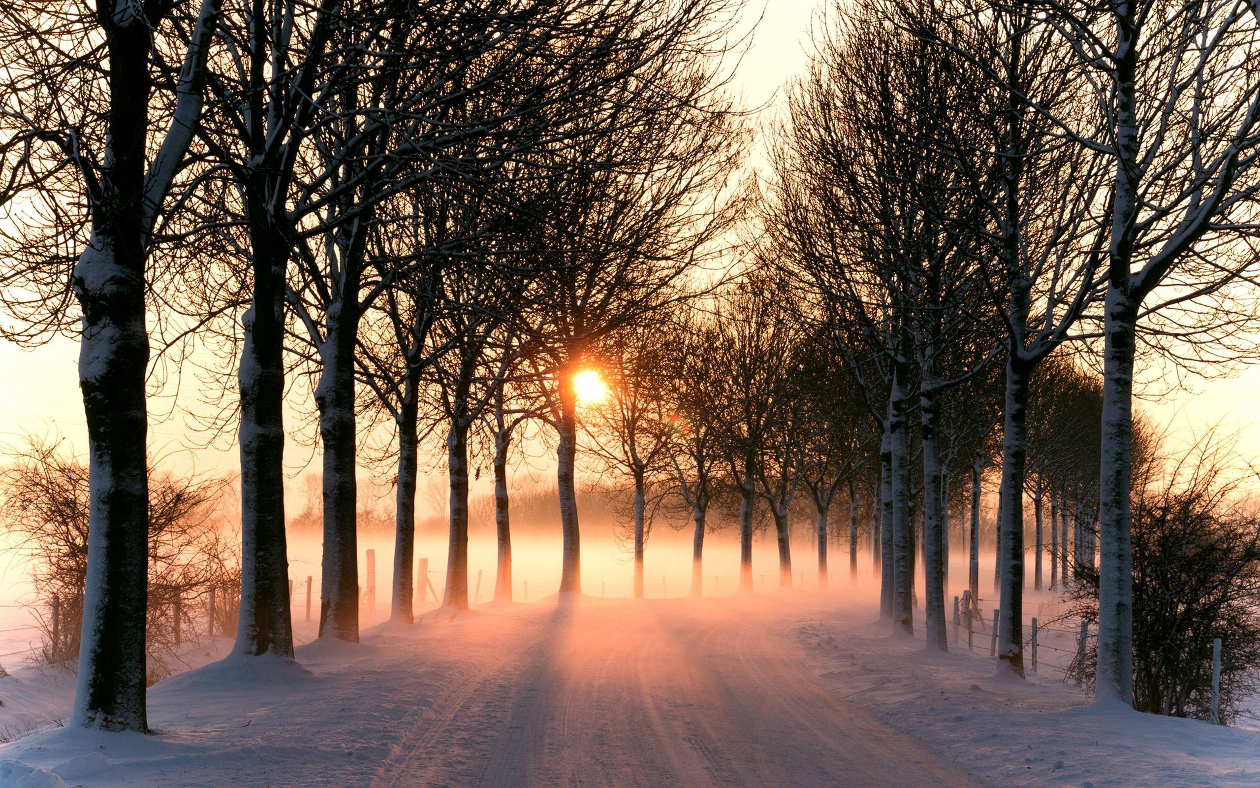 snow, winter, nature, road 1080p