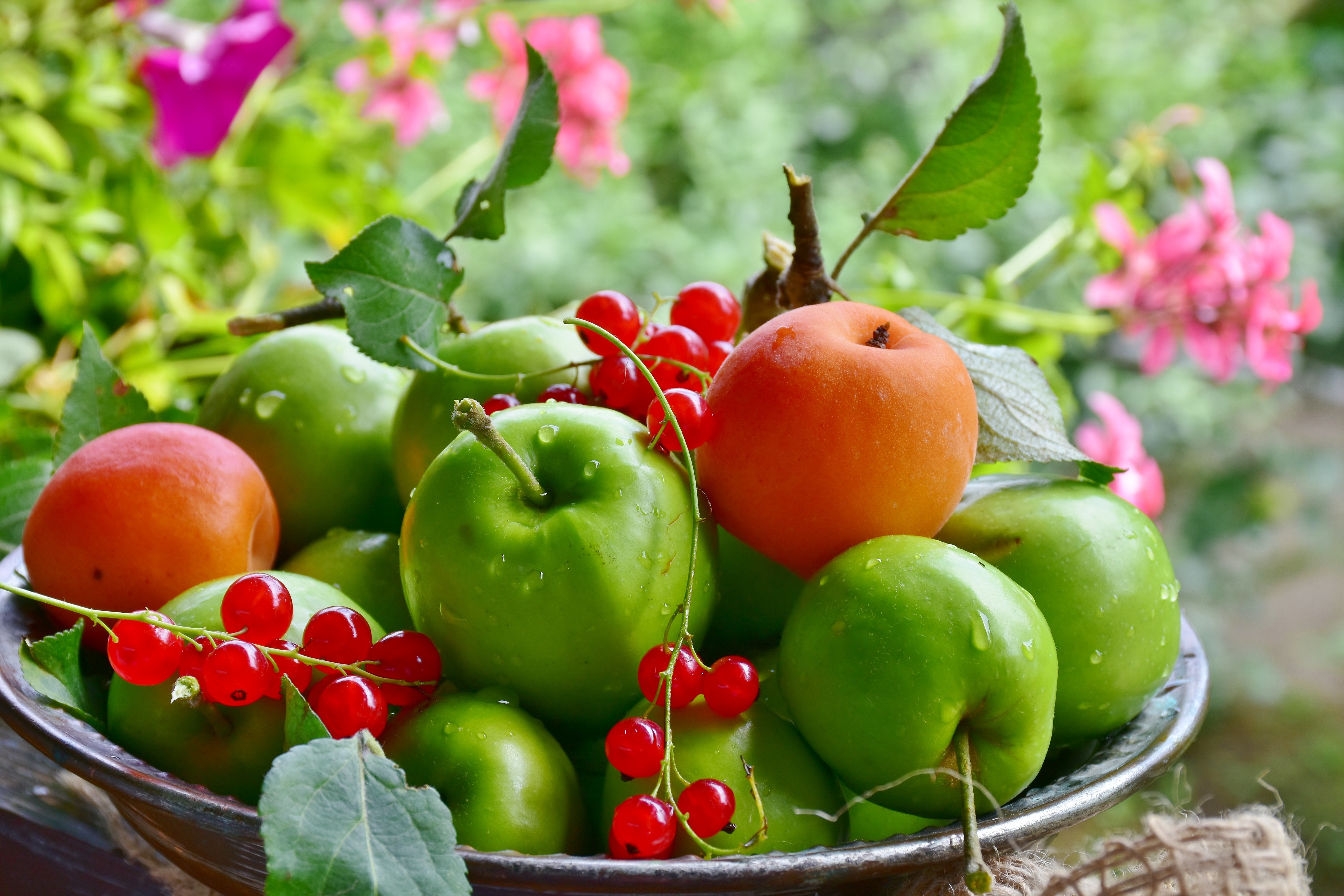 Фото фрукты и овощи высокого качества