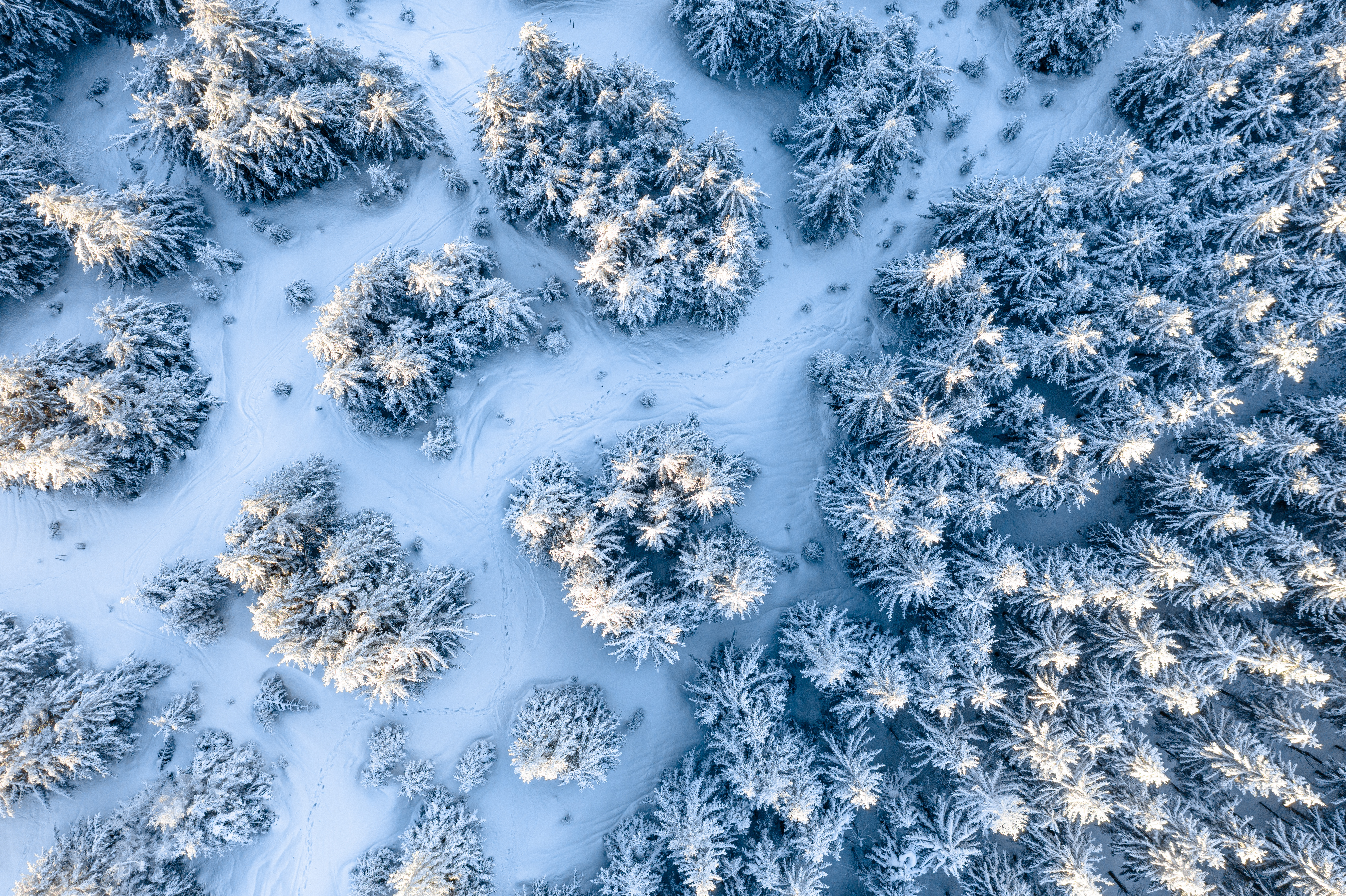 Download mobile wallpaper Trees, Nature, View From Above, Snow, Winter for free.
