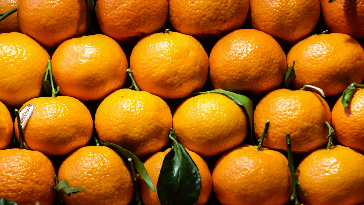 Цитрус мандарин +апельсин. Измирские мандарины. Танжерин цитрус. Фестиваль мандаринов Кипр. Нажмите на фрукт