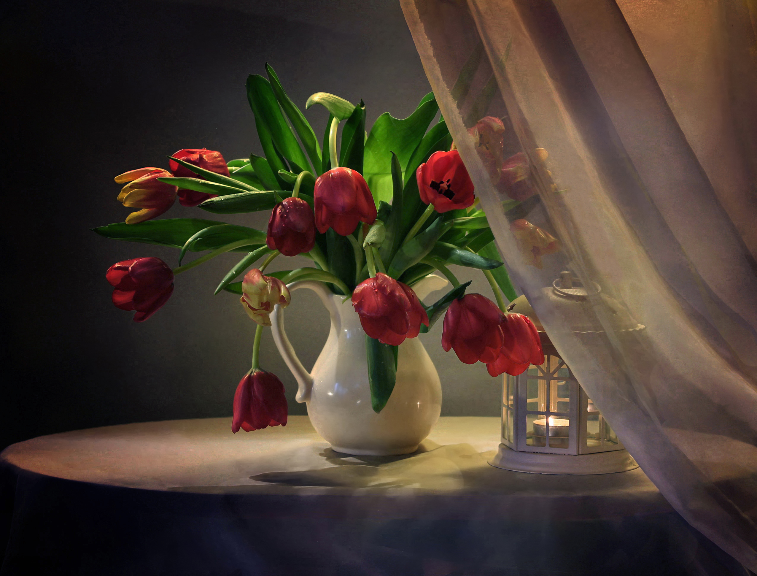photography, still life, candle, curtain, lantern, red flower, tulip, vase Smartphone Background