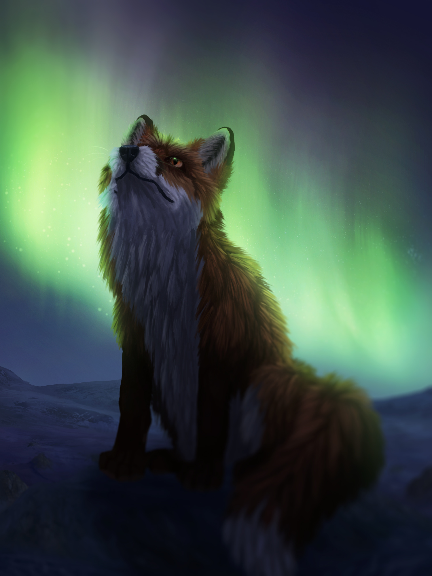 Full HD Wallpaper art, night, fox, dark, northern lights, aurora borealis