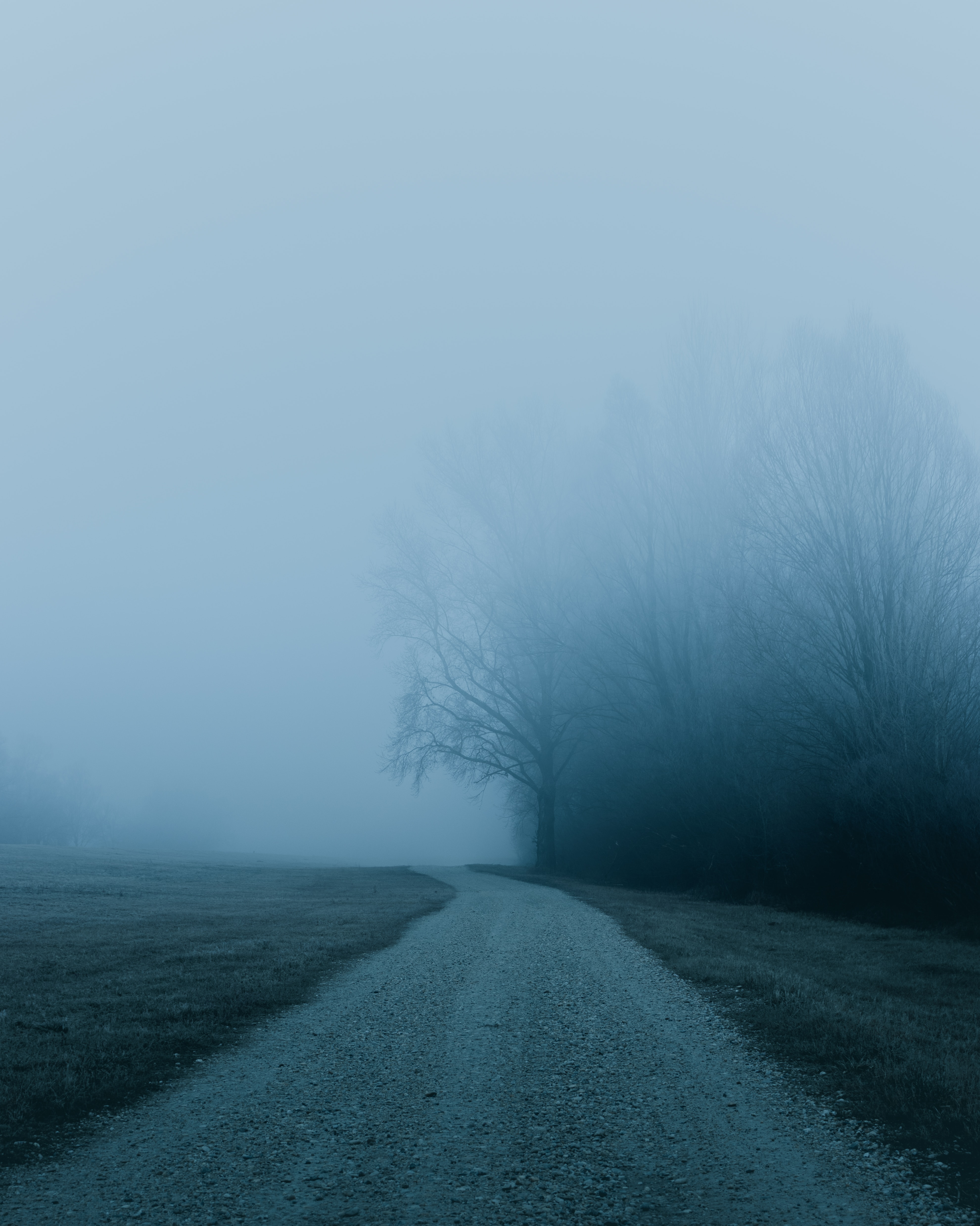 Free download wallpaper Trees, Road, Fog, Nature on your PC desktop
