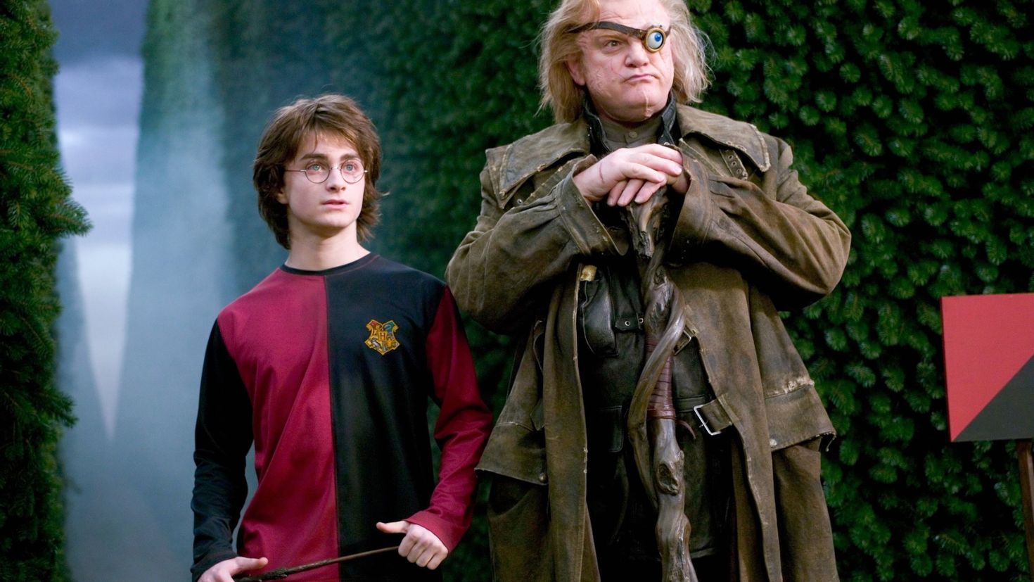 Harry potter and the goblet of fire. Гарри Поттер и Кубок огня фильм 2005. Брендан Глисон Гарри Поттер. Гарри Поттер и Кубок огня Аластор Грюм.