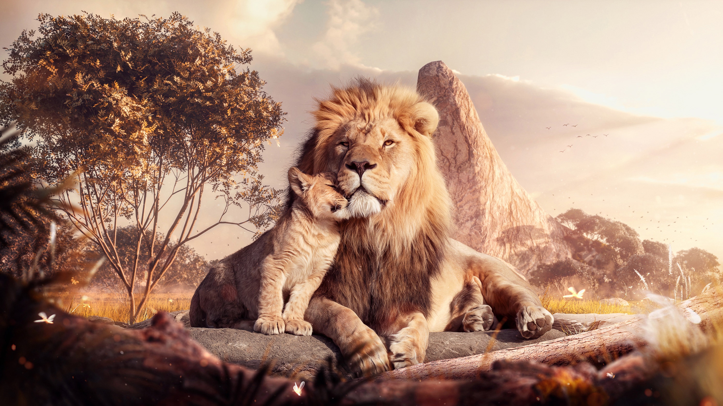 Картинка обои лев