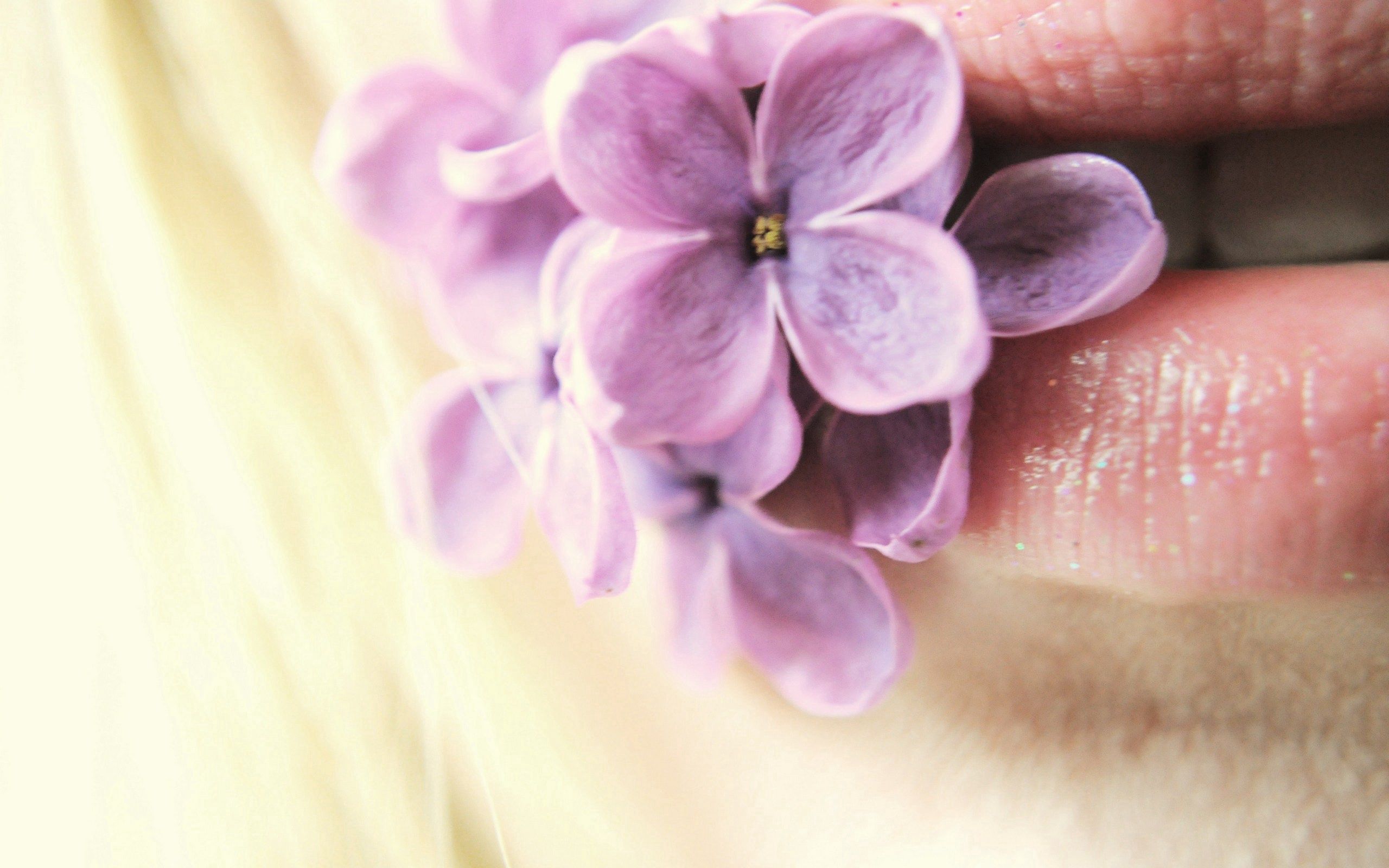Download mobile wallpaper Macro, Flowers, Lilac, Lips for free.