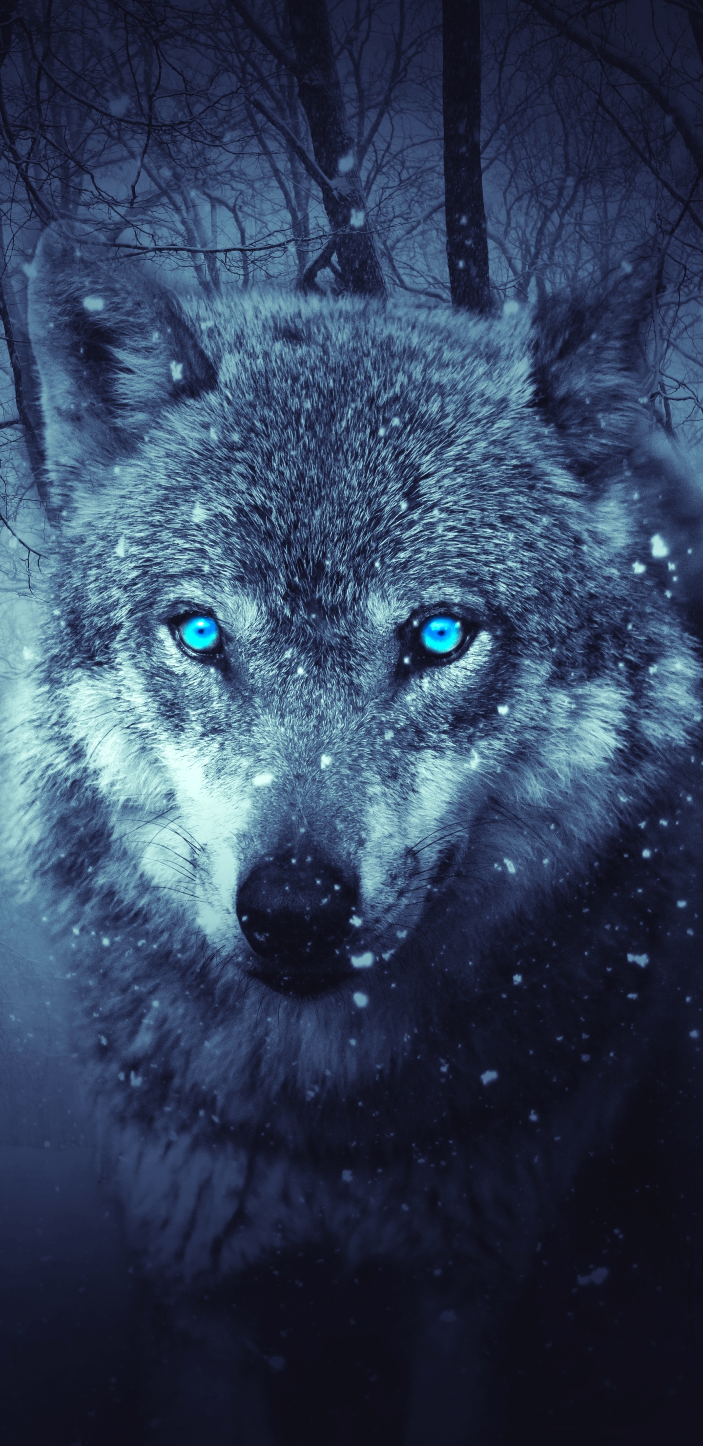 Neon Blue Wolf Wallpapers - Top Free Neon Blue Wolf Backgrounds -  WallpaperAccess