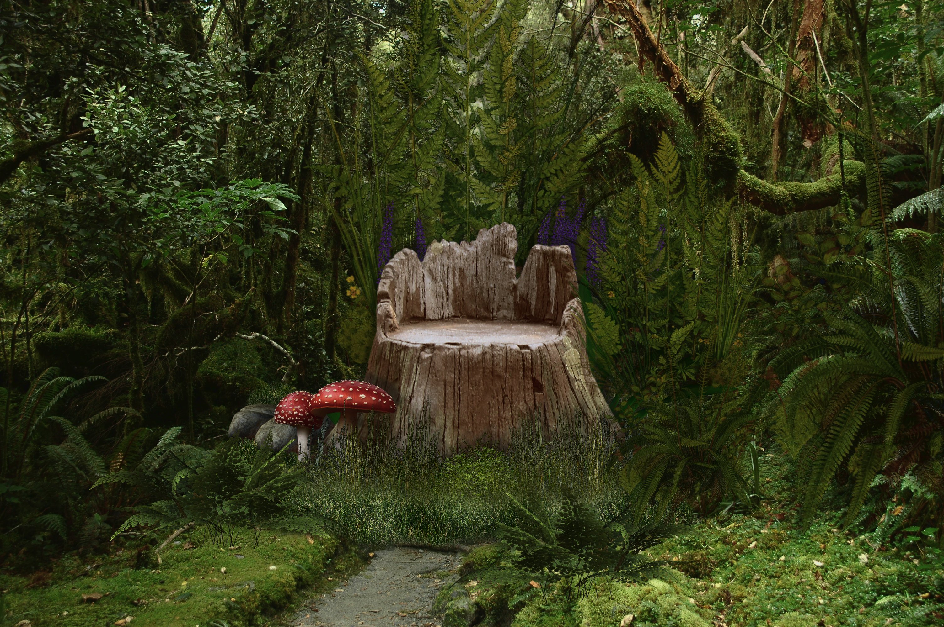 mushroom, artistic, forest, flower, stump