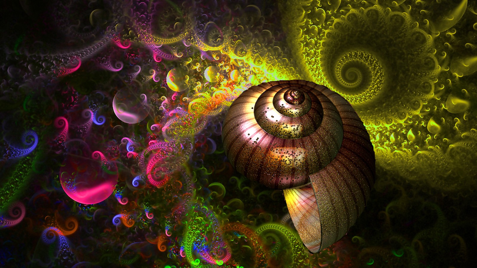 artistic, abstract, colors, rainbow, shell