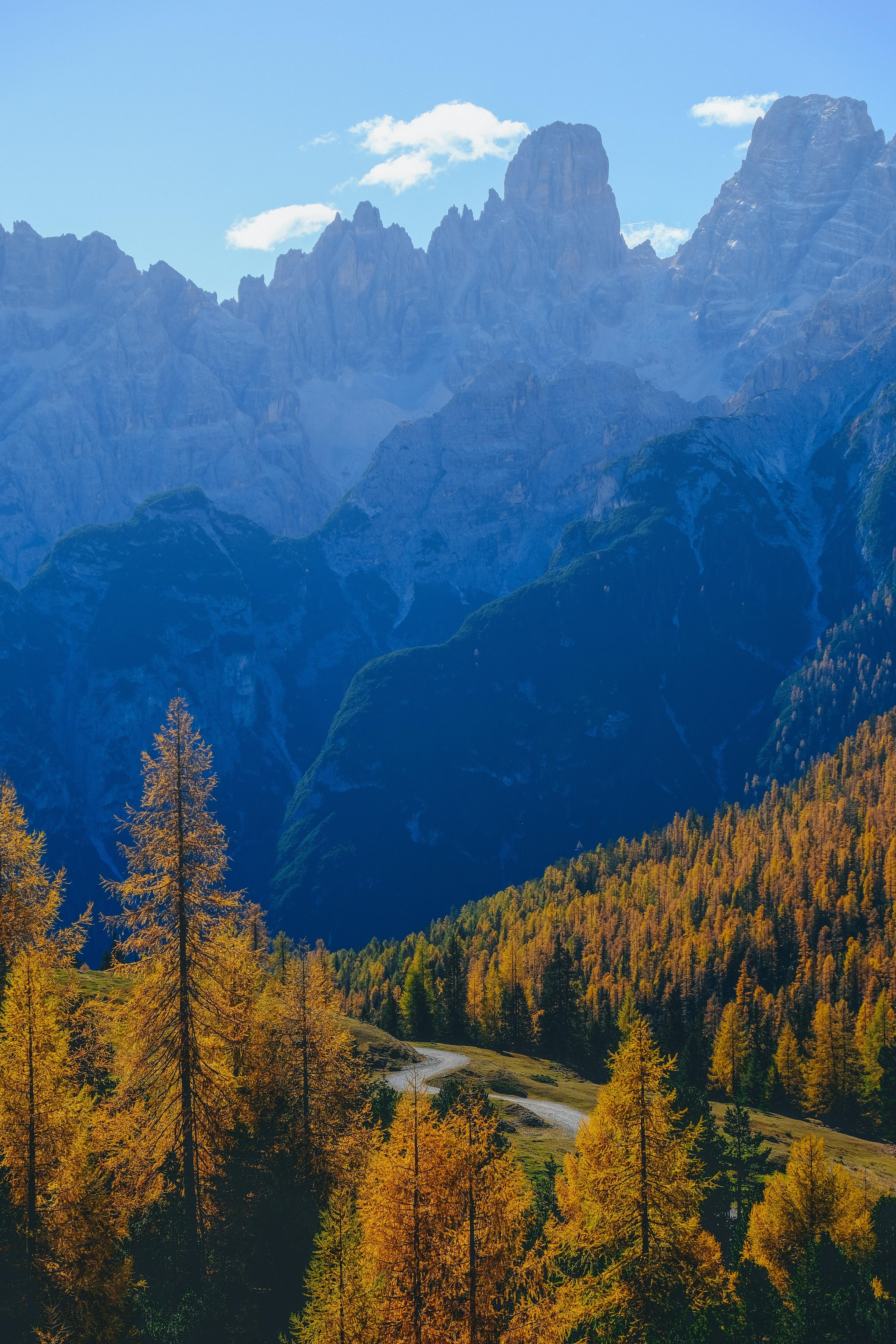 path, autumn, nature, trees, mountains, fog Smartphone Background