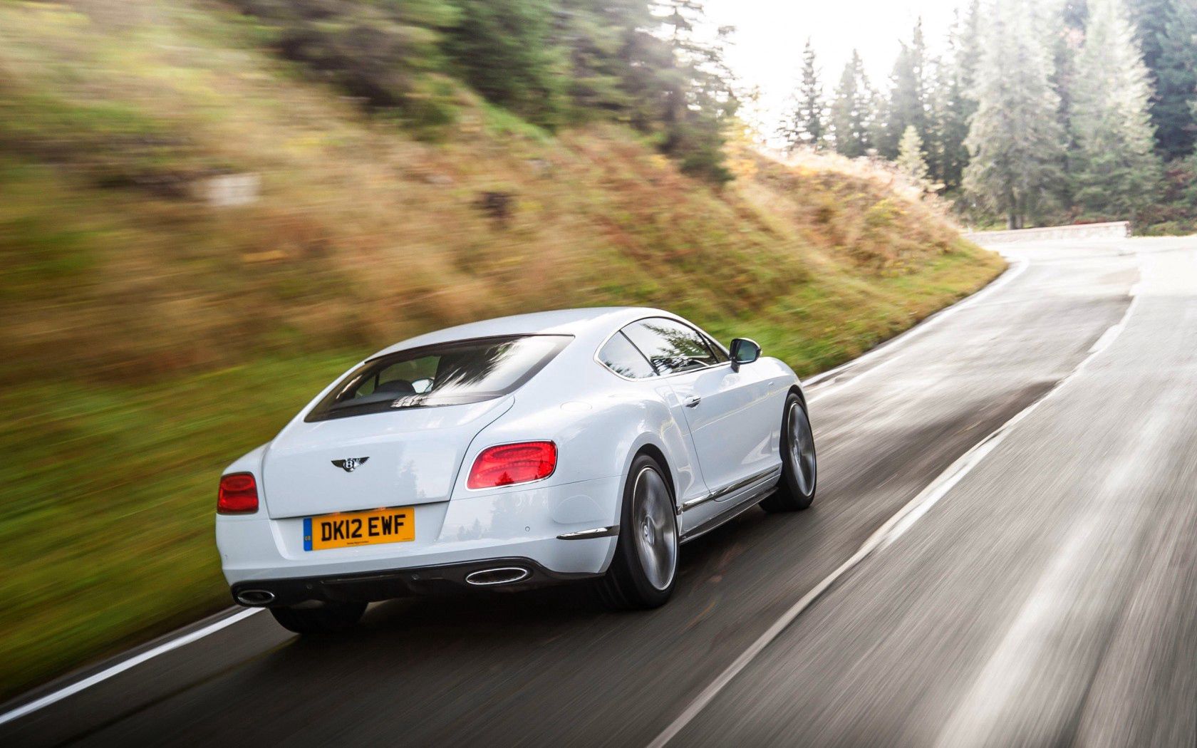 cars, gt, auto, bentley, white, traffic, movement, back view, rear view, continental Full HD