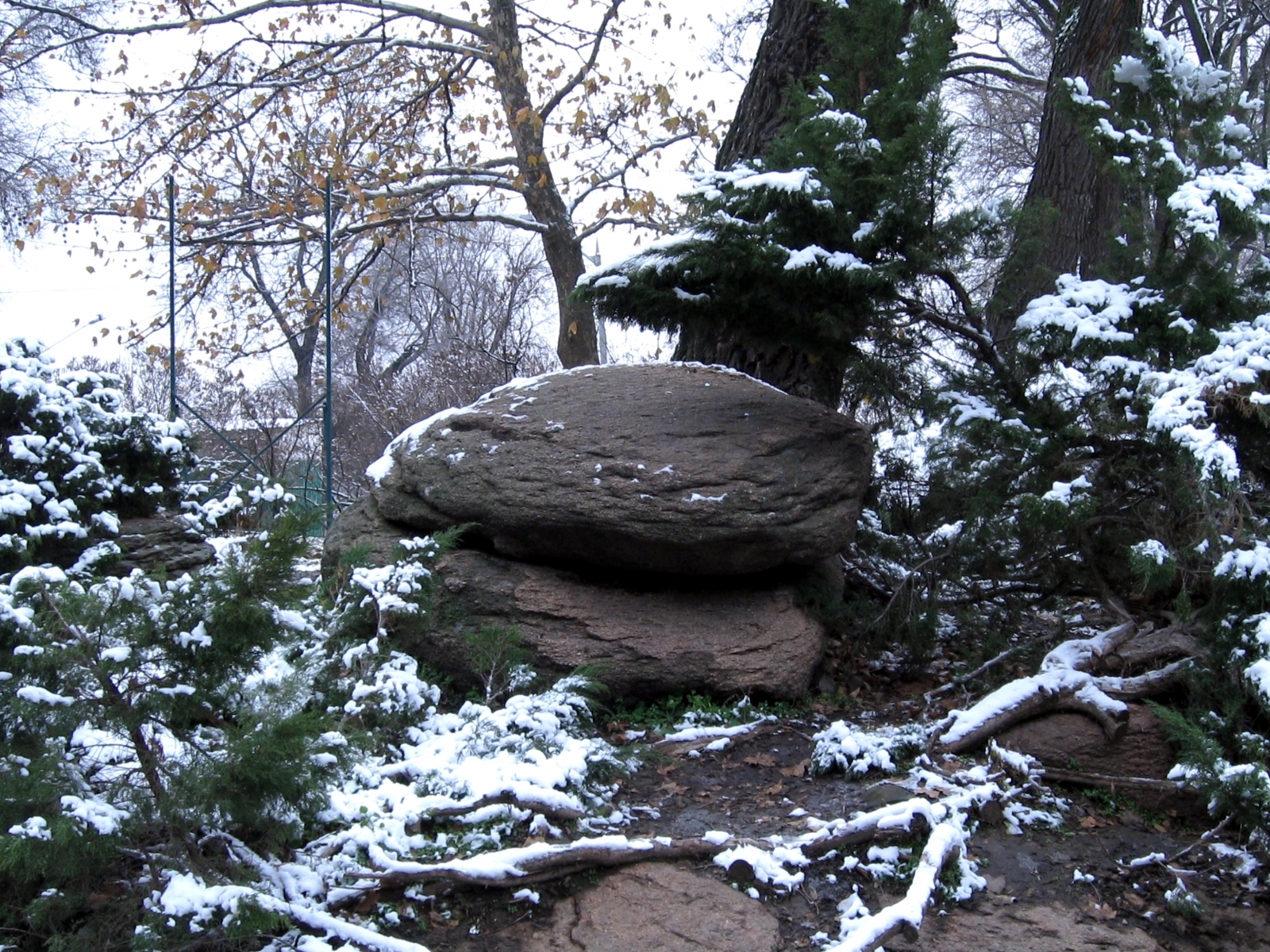 Download mobile wallpaper Trees, Stones, Winter, Landscape for free.