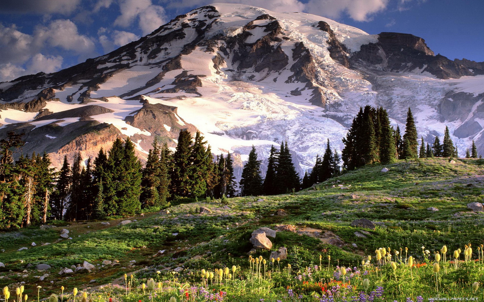 158297 télécharger le fond d'écran prairie, printemps, terre/nature, montagne, fleur, glacier, glace, neiger, arbre, montagnes - économiseurs d'écran et images gratuitement