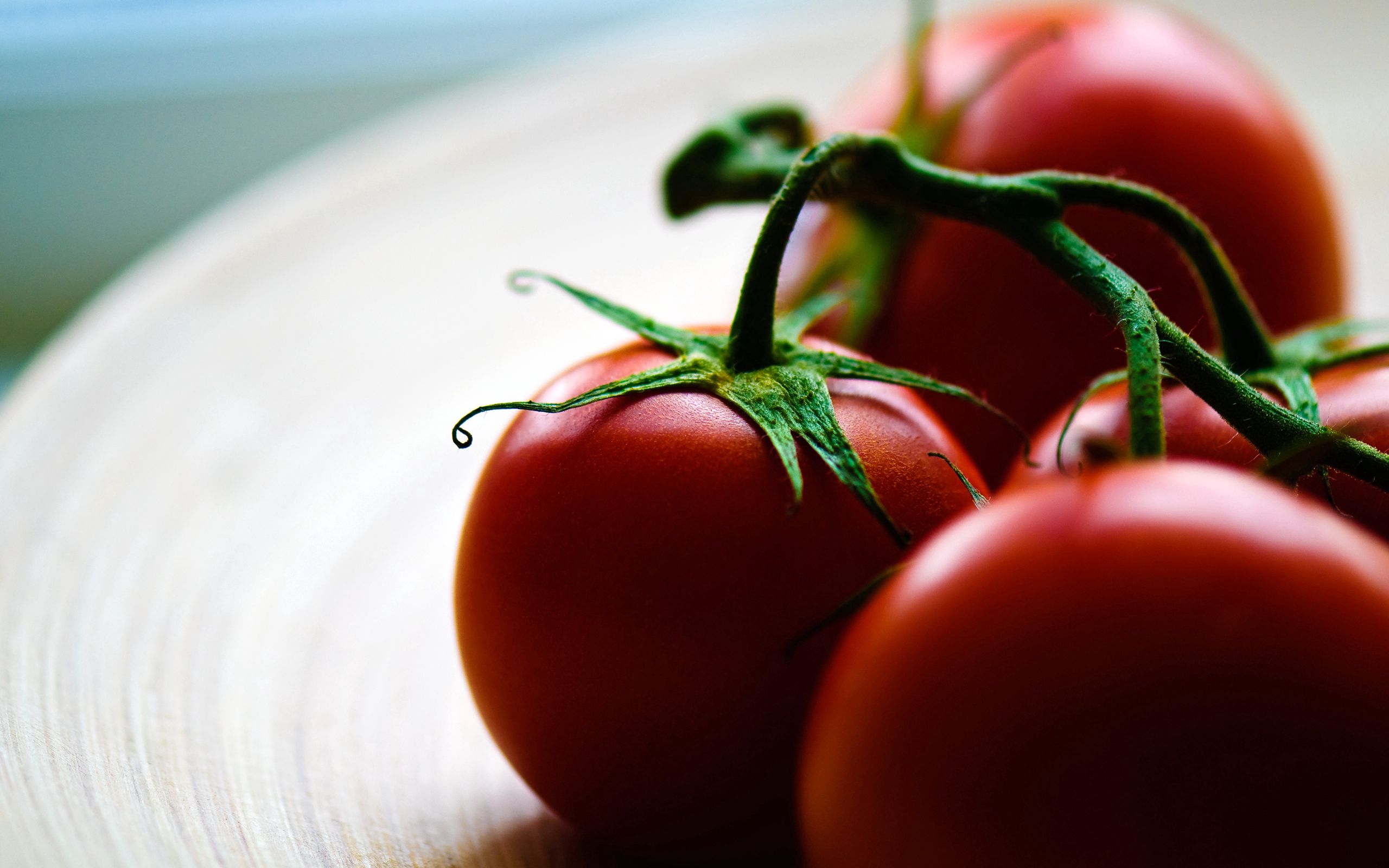 82106 завантажити шпалери томати, їжа, червоний, тарілка, стиглі, помідори - заставки і картинки безкоштовно