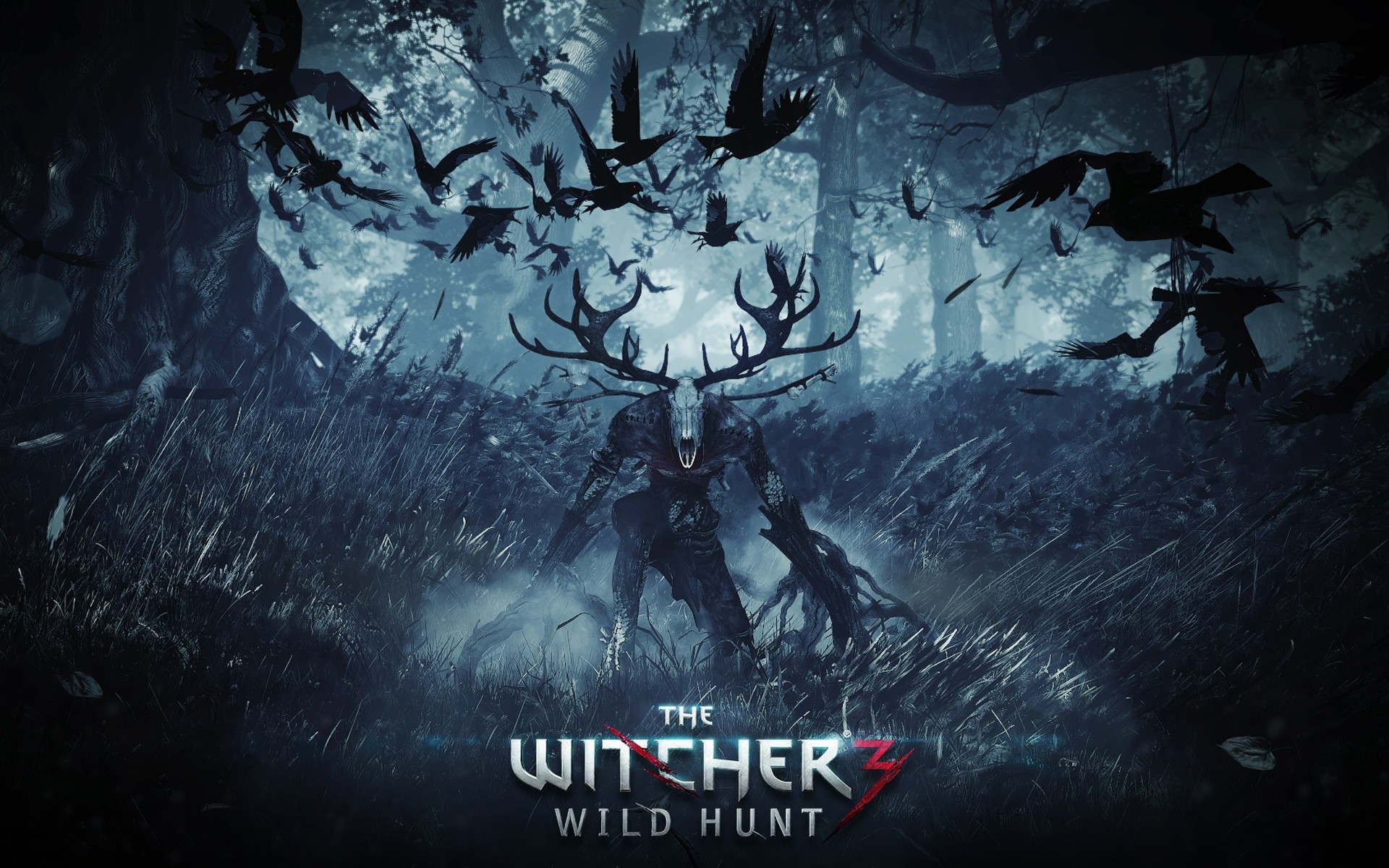 the witcher 3: wild hunt, the witcher, video game 4K Ultra