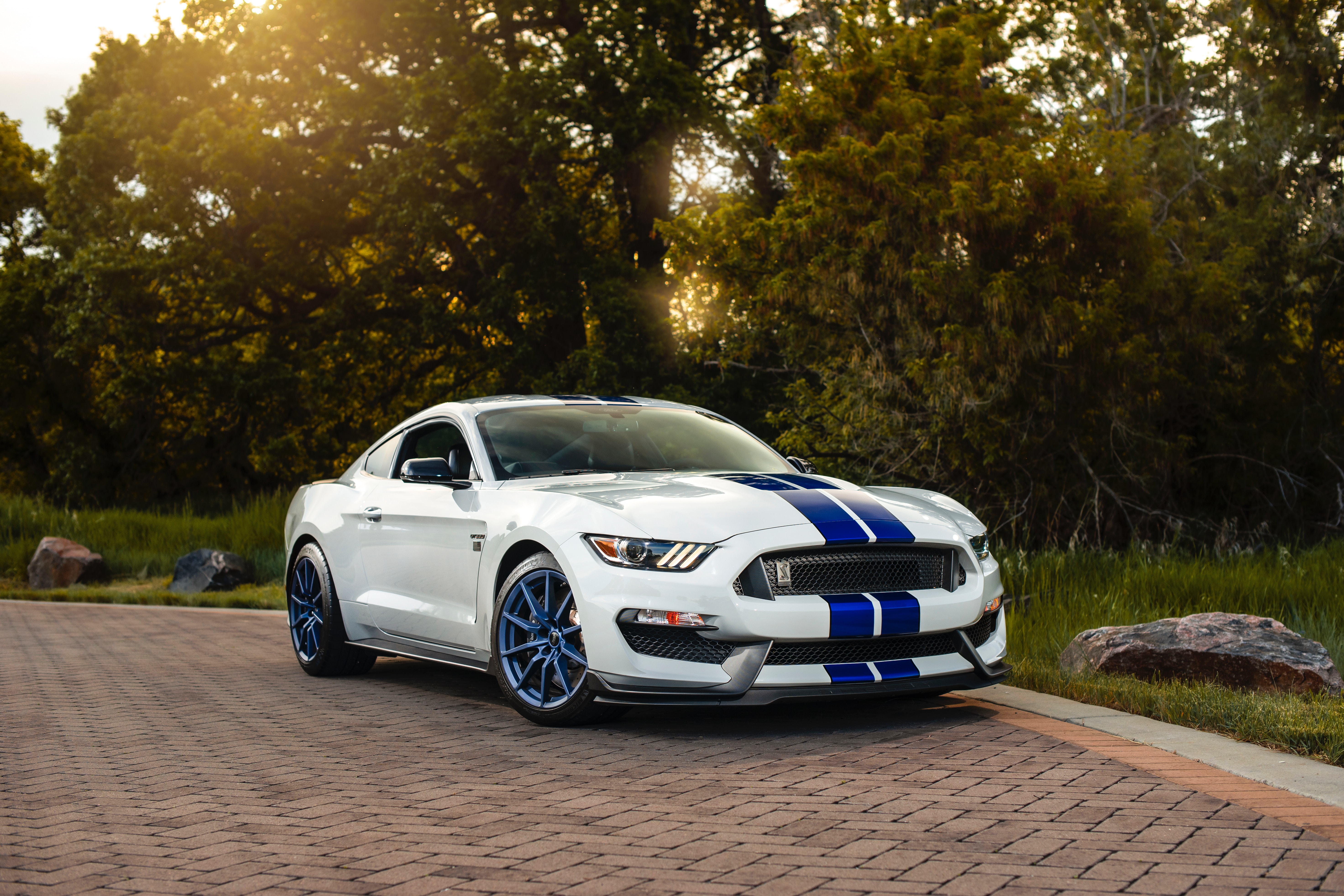 sports car, side view, ford mustang gt350, car, cars, white, sports, ford, machine