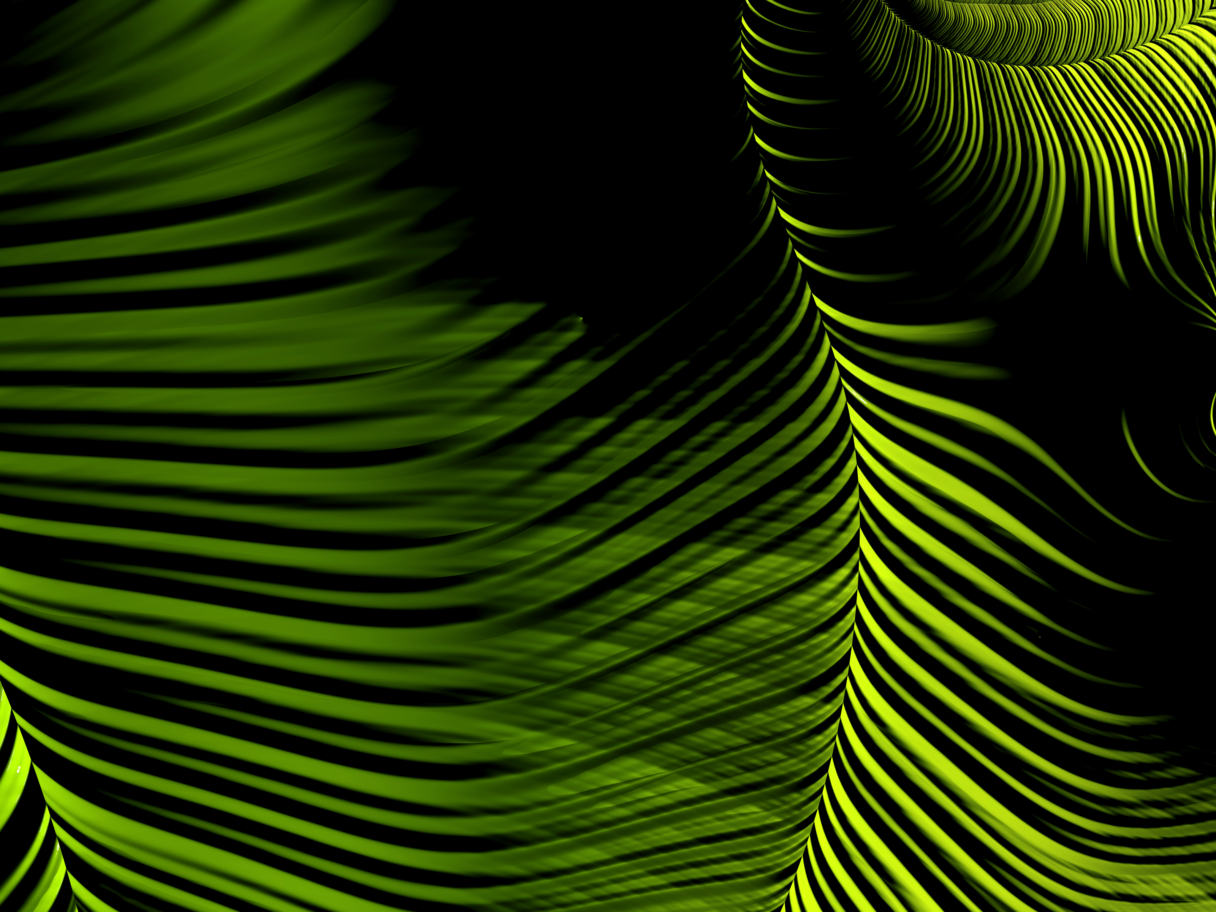 abstract, green, lines, fractal, winding, sinuous Panoramic Wallpaper