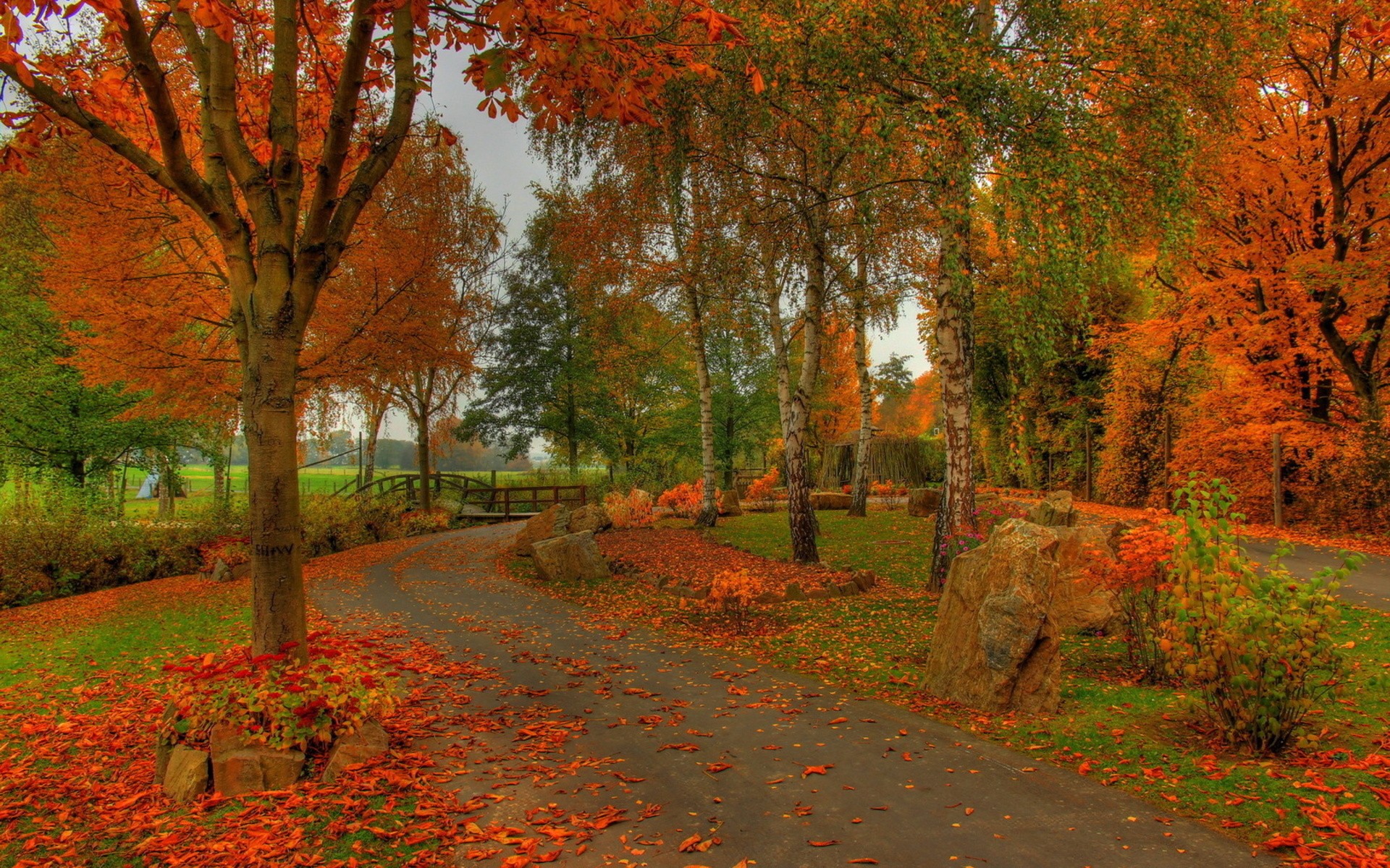красивая осень в парке