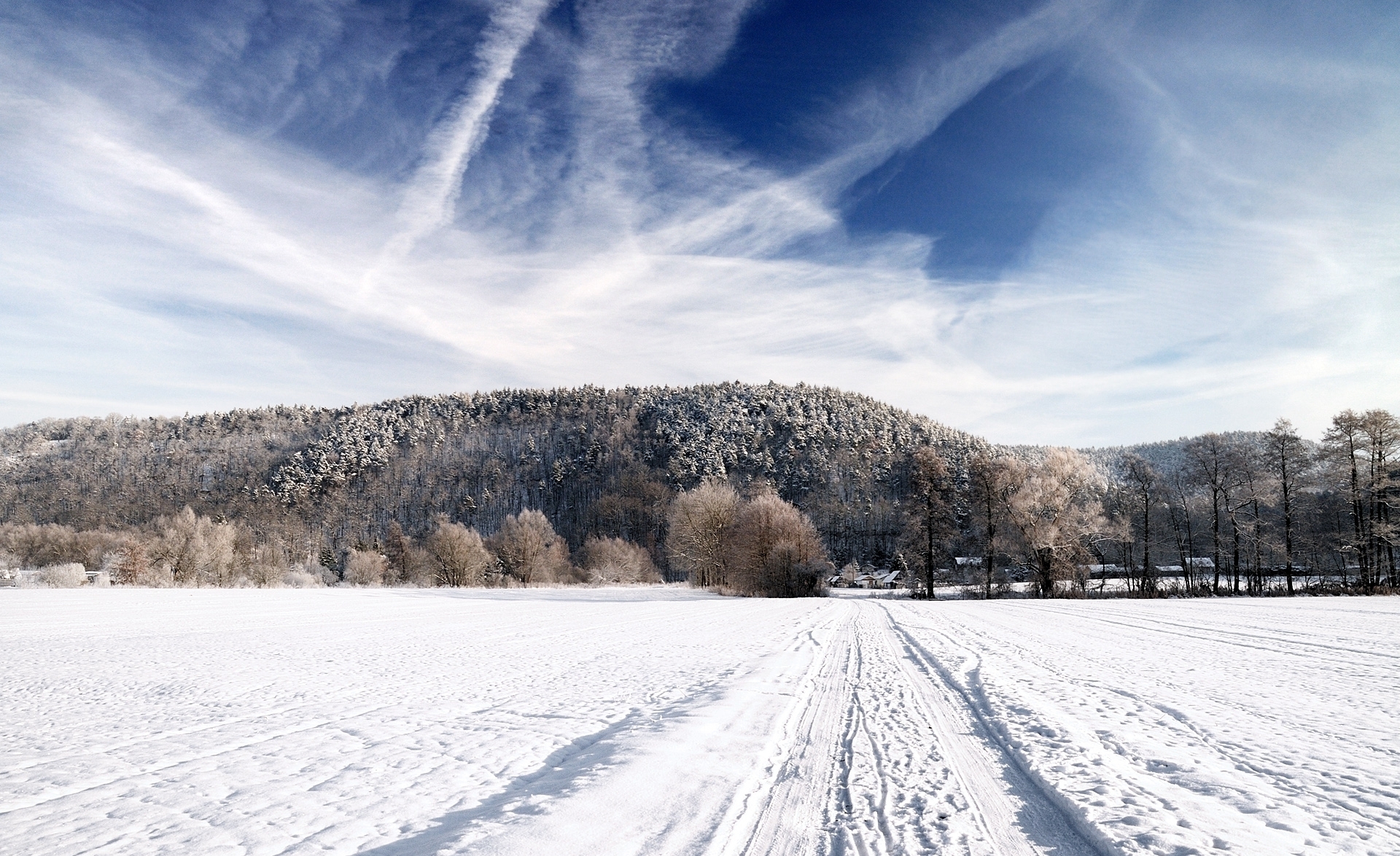 nature, trees, sky, white, road, frost, traces, country, ease, countryside