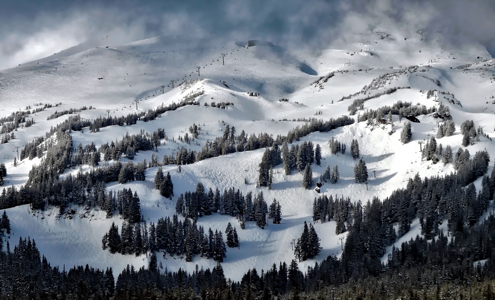 104484 免費下載壁紙 性质, 树, 山, 雪, 美国, 俄勒冈州 屏保和圖片