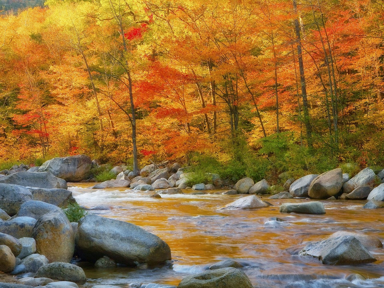 Handy-Wallpaper Flüsse, Bäume, Stones, Landschaft, Wasser, Herbst kostenlos herunterladen.