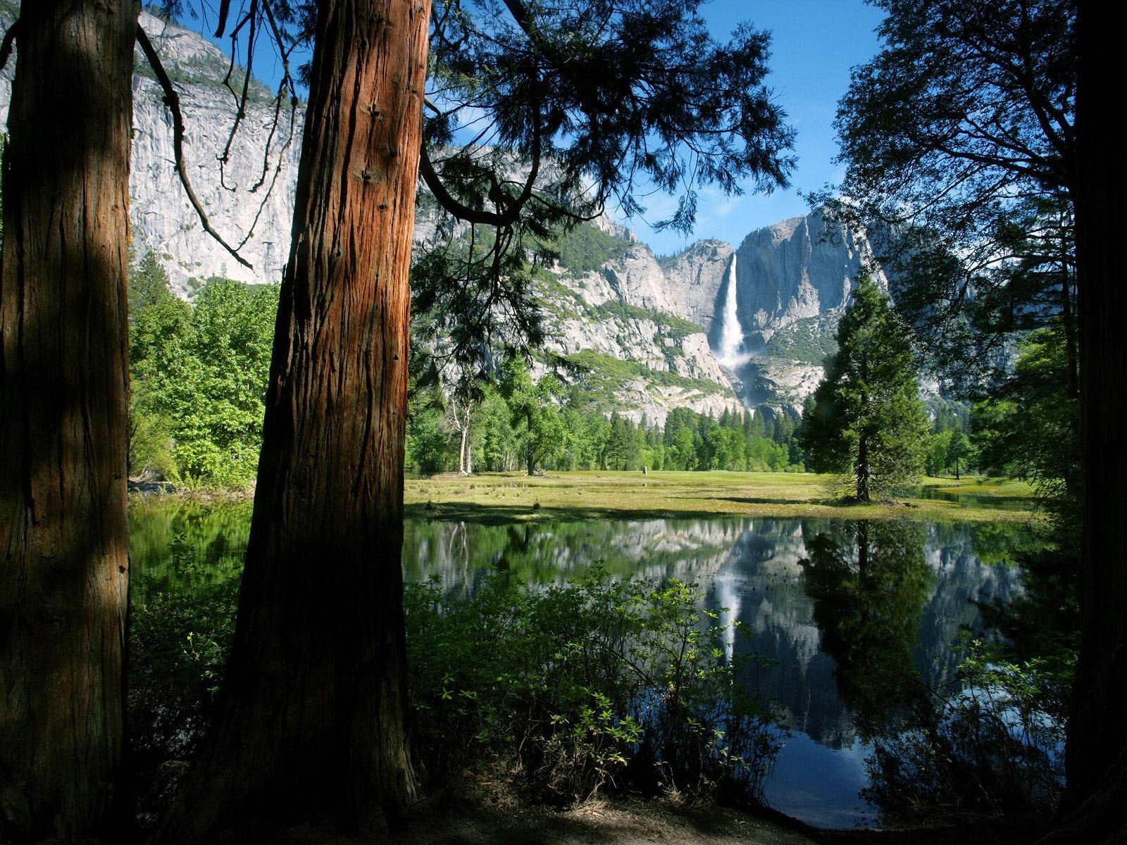 Йосемитский национальный парк вода ствол