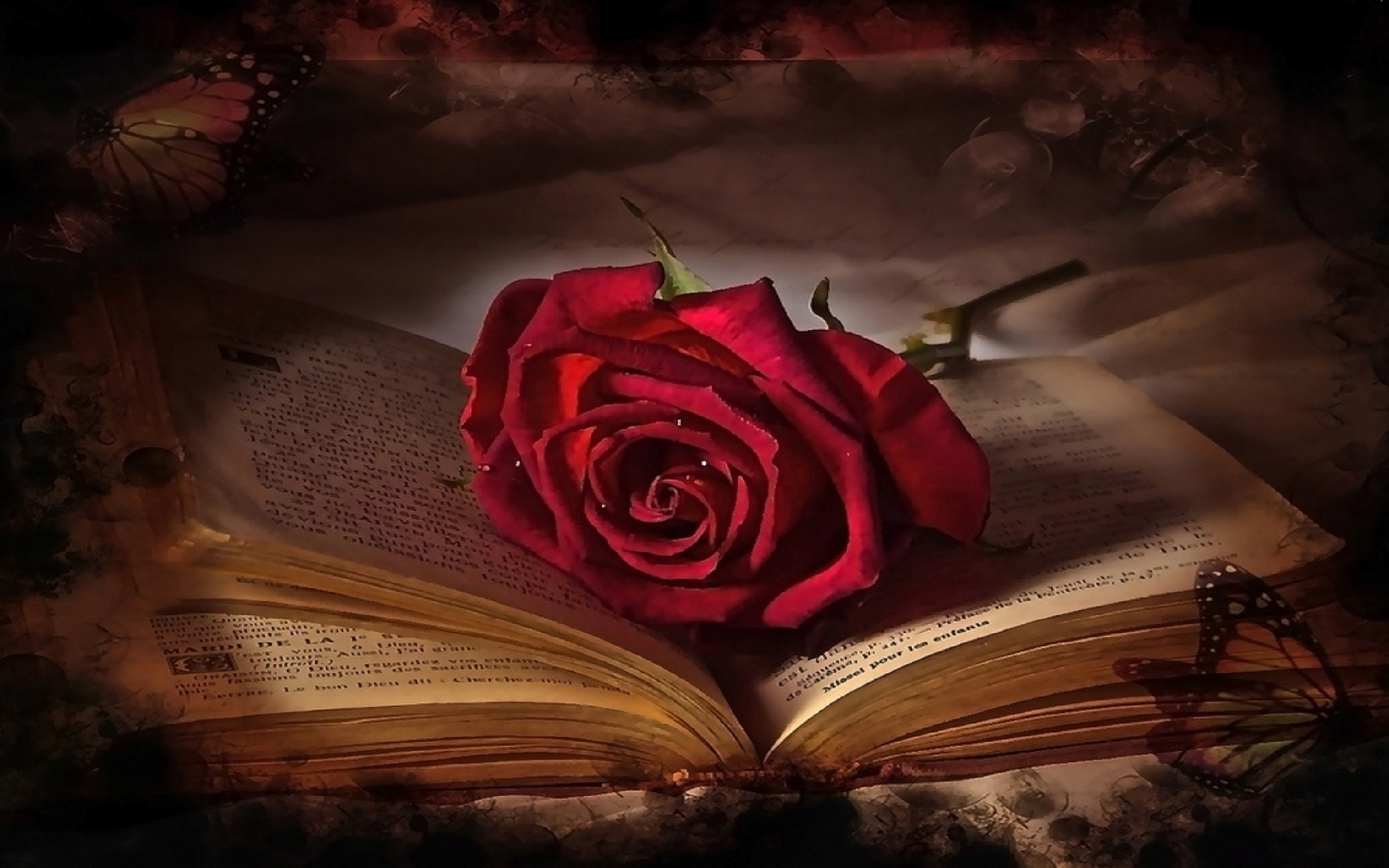 735983 завантажити шпалери роза, день святого валентина, фотографія, кохання, книга, метелик, червона троянда - заставки і картинки безкоштовно