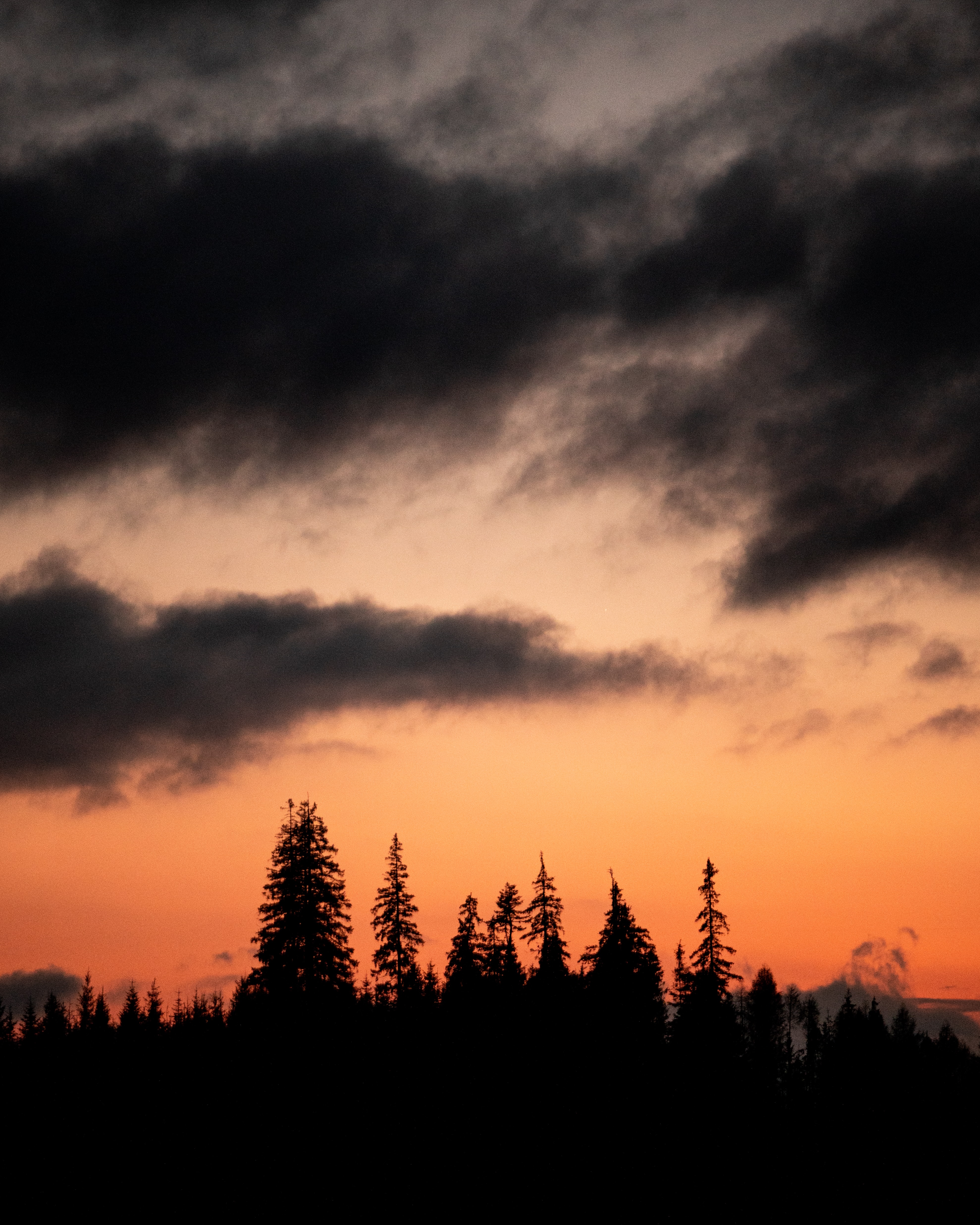 Download mobile wallpaper Dusk, Trees, Nature, Twilight, Sunset, Silhouettes for free.