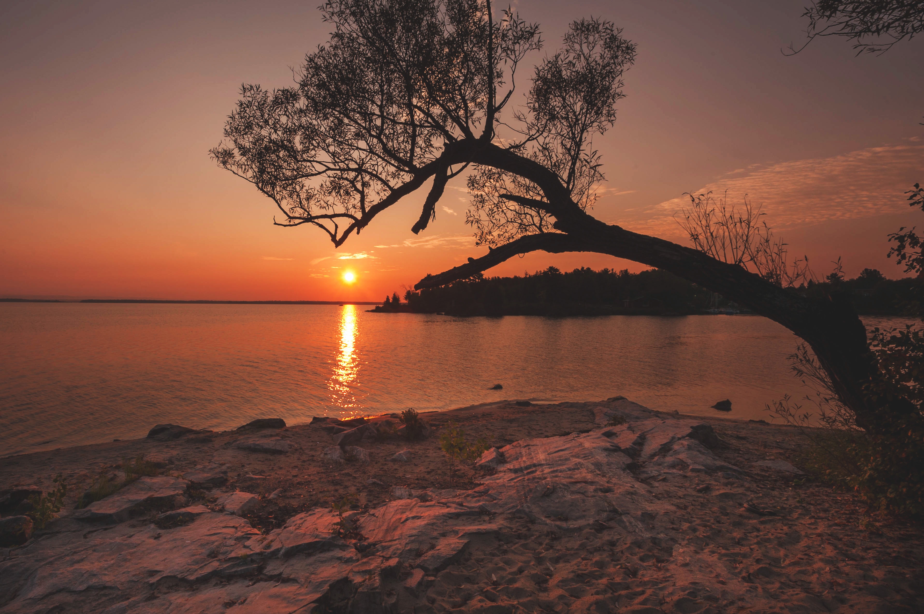 bank, nature, rivers, sunset, shore, wood, tree images