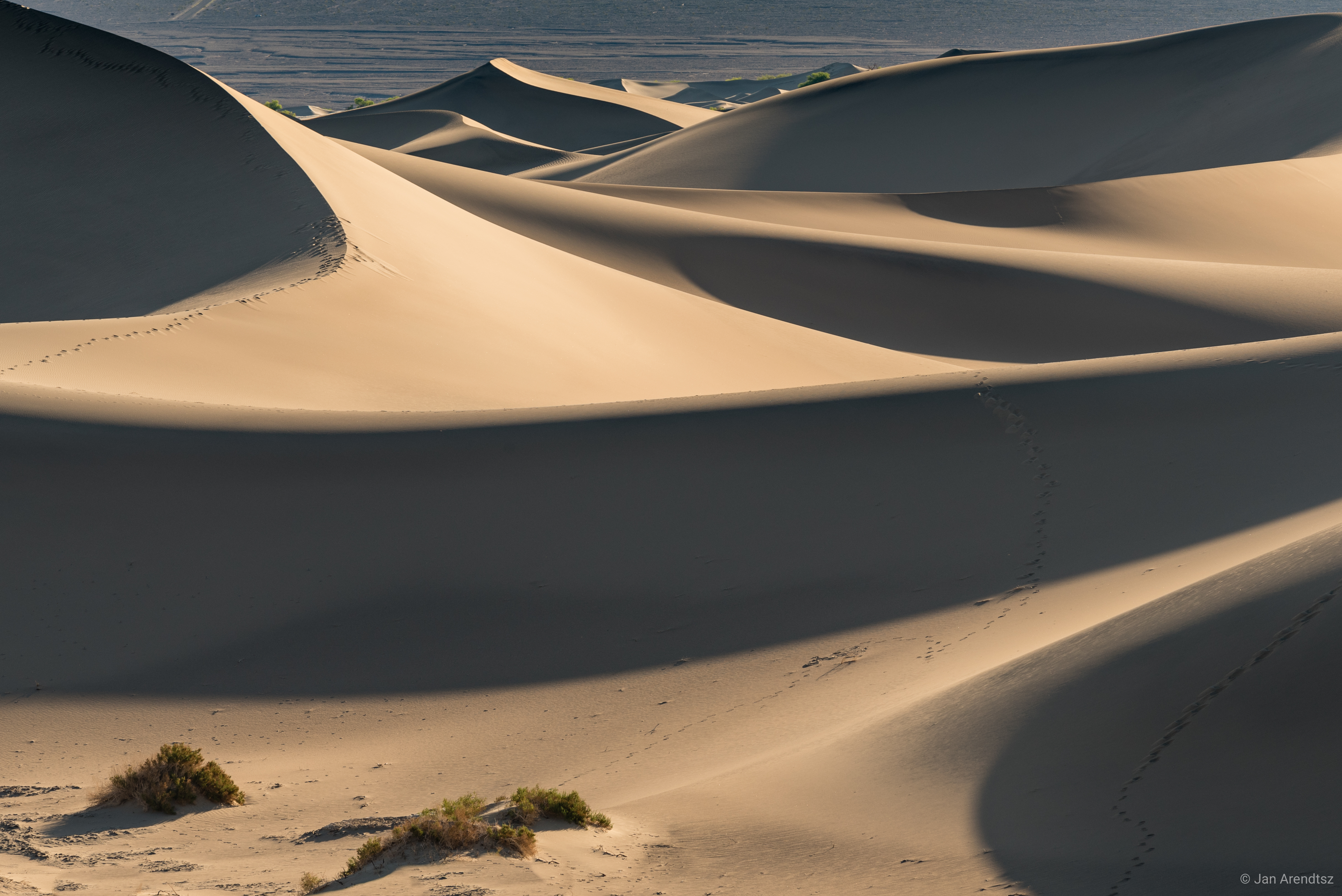 dunes, nature, sand, desert, hills, links Phone Background