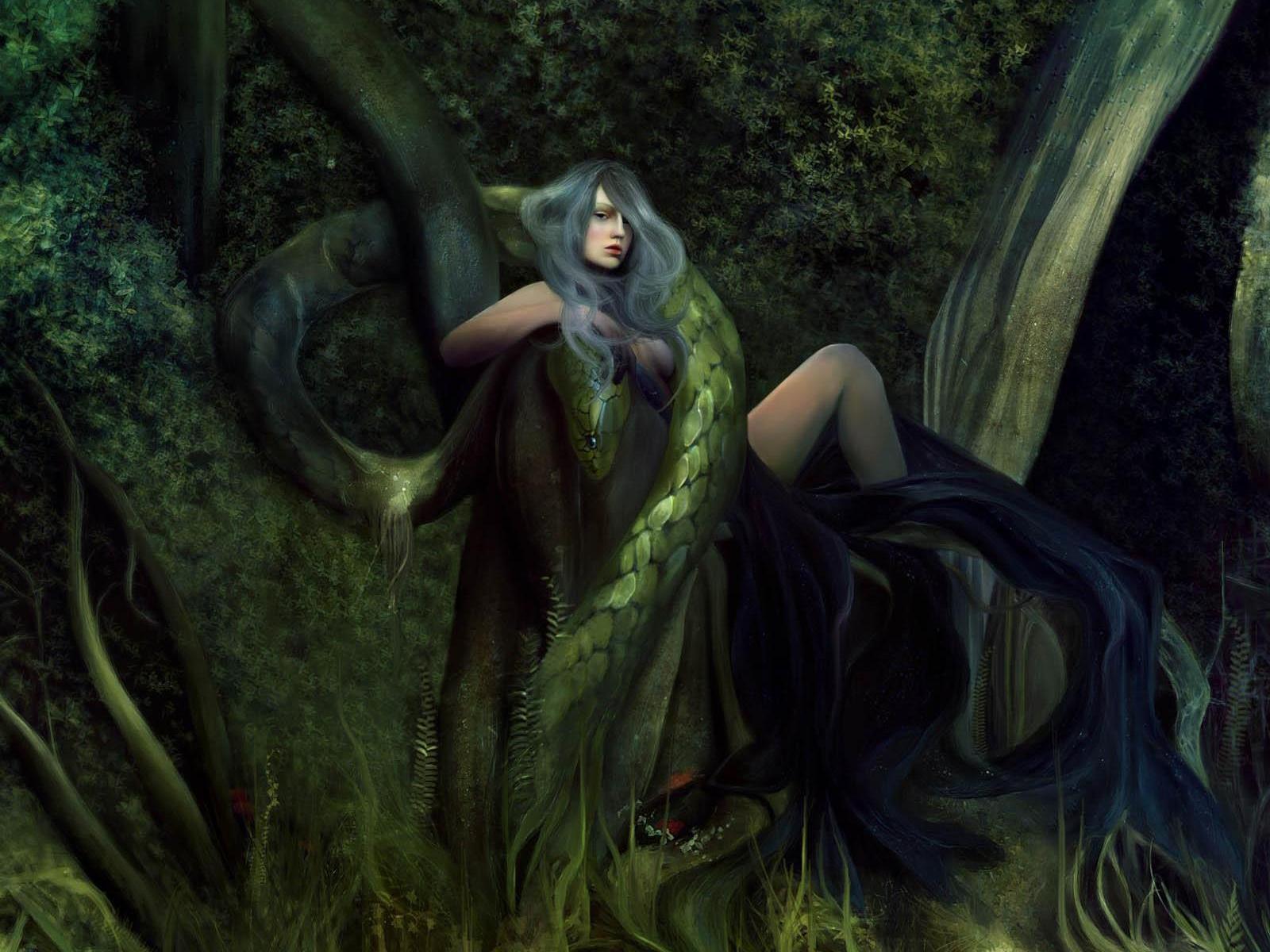 Лесная ведьма часть 8 том 4. Эльфы, в мифологии. Девушка и дракон фэнтези. Лесная ведьма фэнтези. Эльфийская ведьма.