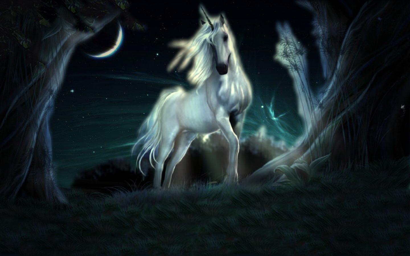 fantasy, unicorn, fantasy animals
