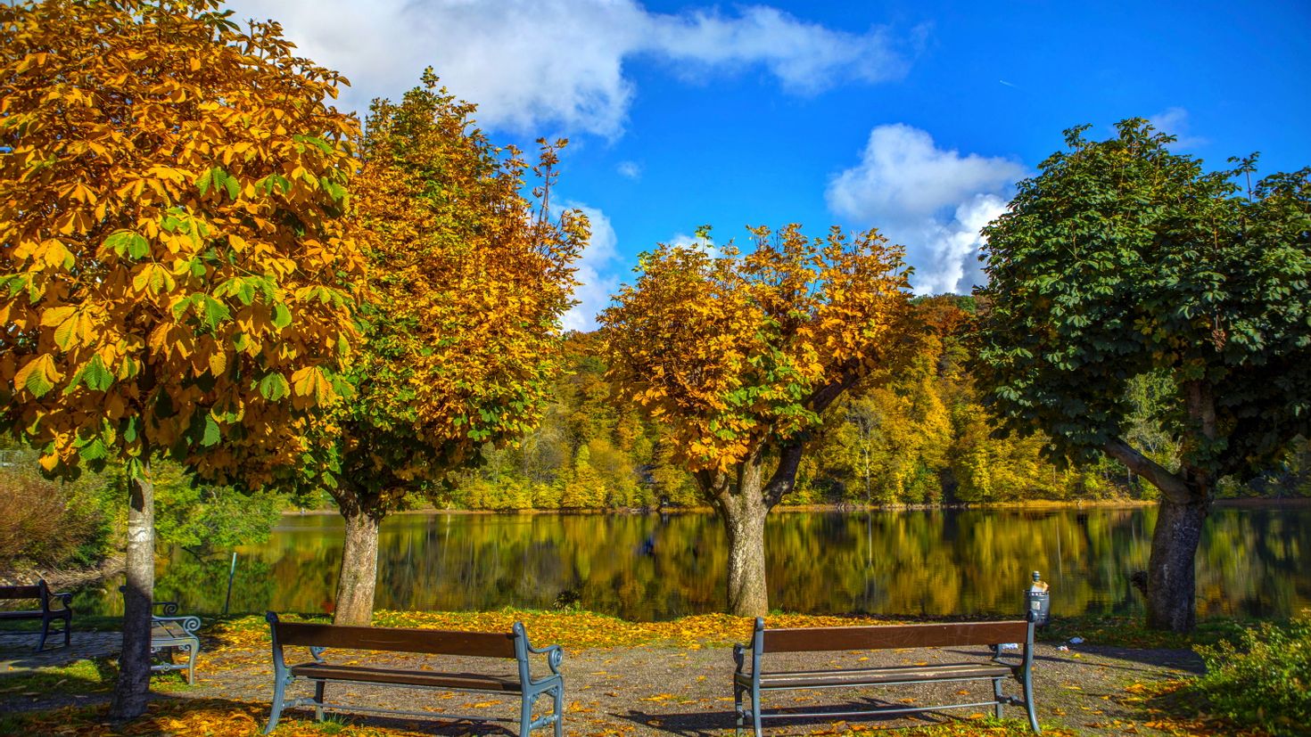 Осень парк лавочка озеро