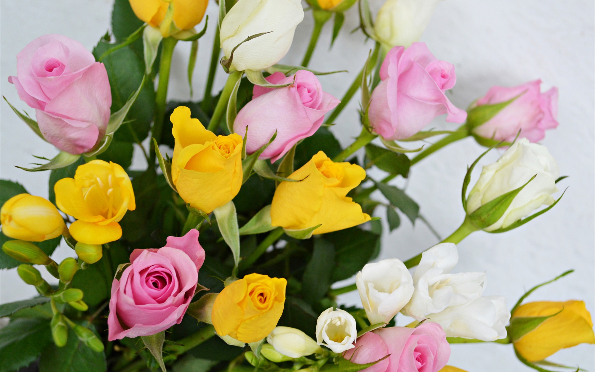 Желтые тюльпаны и розовые розы