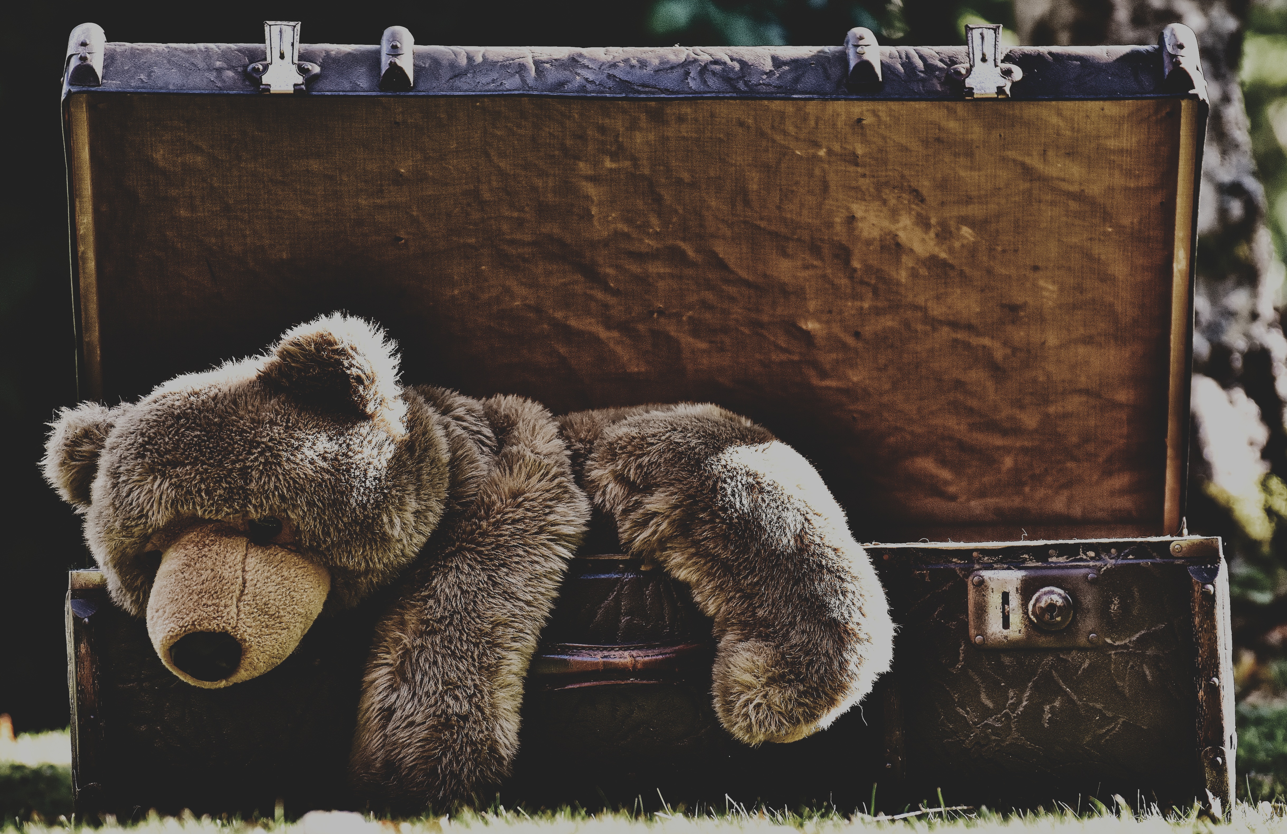 124004 baixar papel de parede miscelânea, variado, suportar, urso, brinquedo, tristeza, urso teddy, urso de pelúcia, mala - protetores de tela e imagens gratuitamente