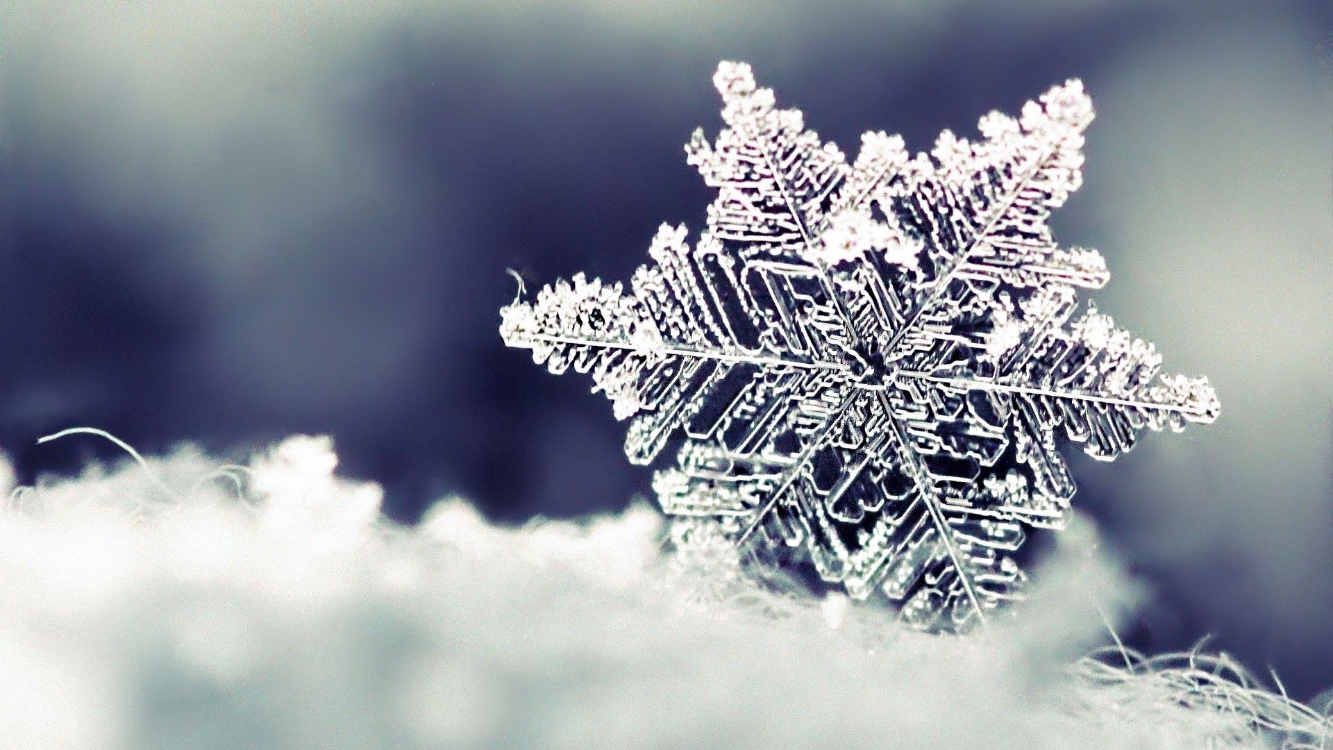Download mobile wallpaper Snowflake, Snow, Macro, Pattern, Form for free.