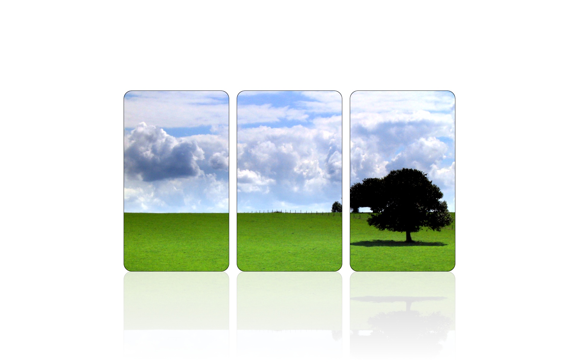 521815 Bildschirmschoner und Hintergrundbilder Bäume auf Ihrem Telefon. Laden Sie  Bilder kostenlos herunter