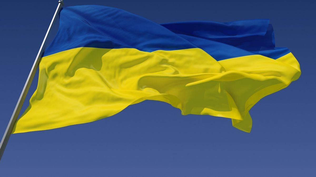 флаг украины на стим фото 71