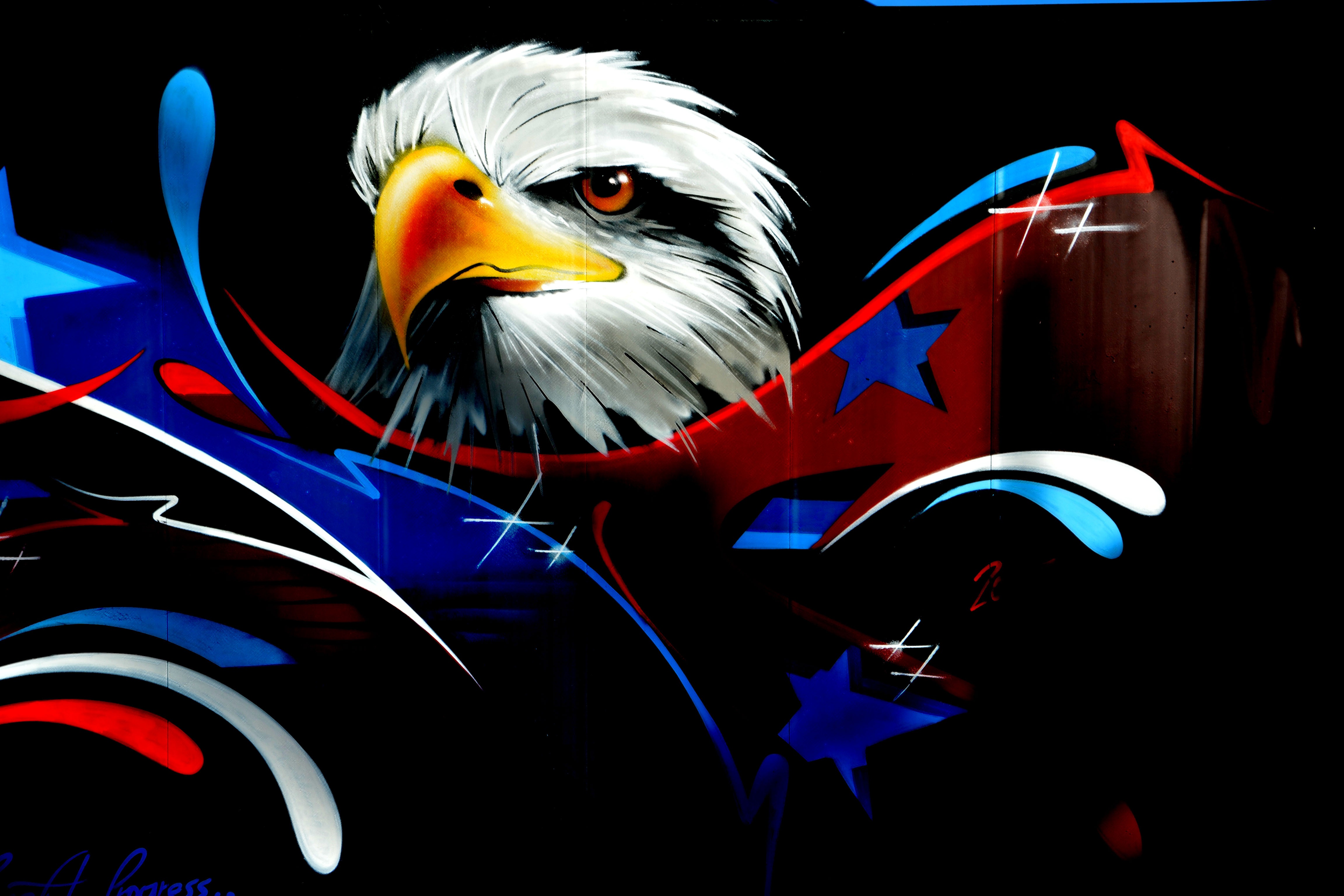 Free download wallpaper Art, Wall, Eagle, Graffiti on your PC desktop